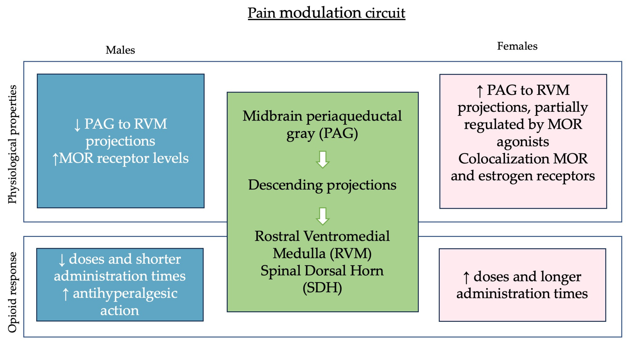 Ijms 25 09314 g001 Ijms 25 09314 g001
