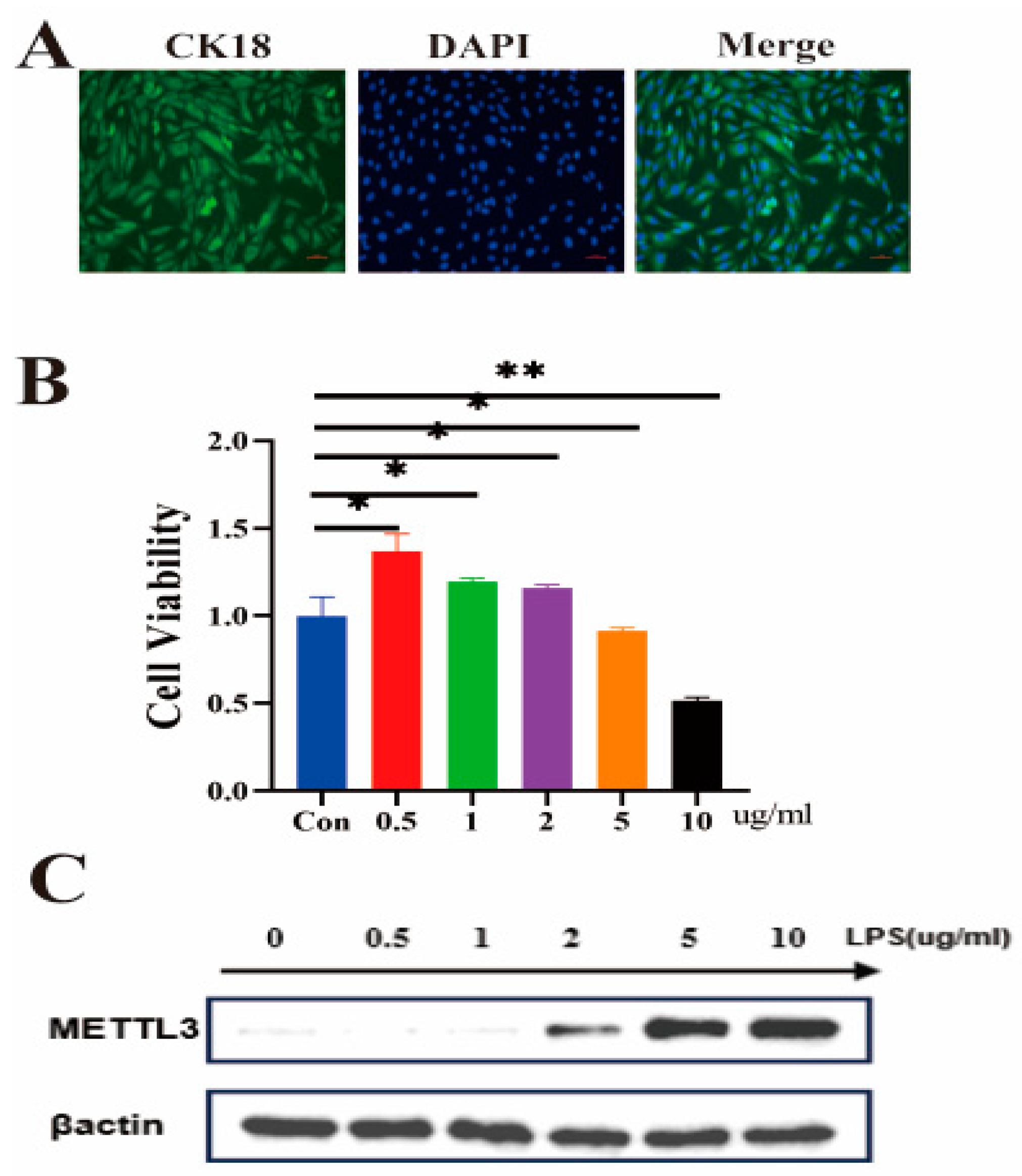 Ijms 25 09316 g001