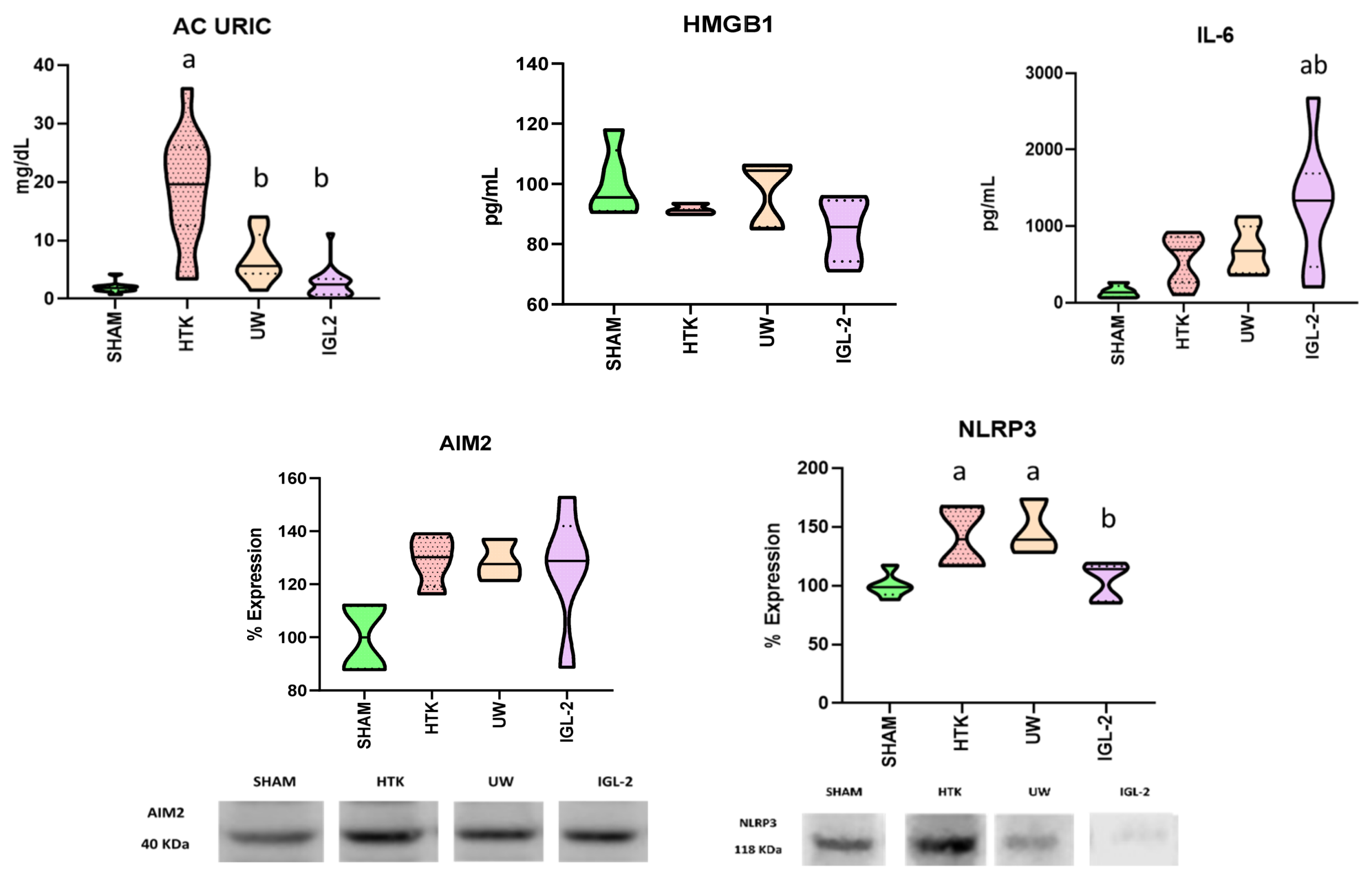 Ijms 25 09318 g002 Ijms 25 09318 g002