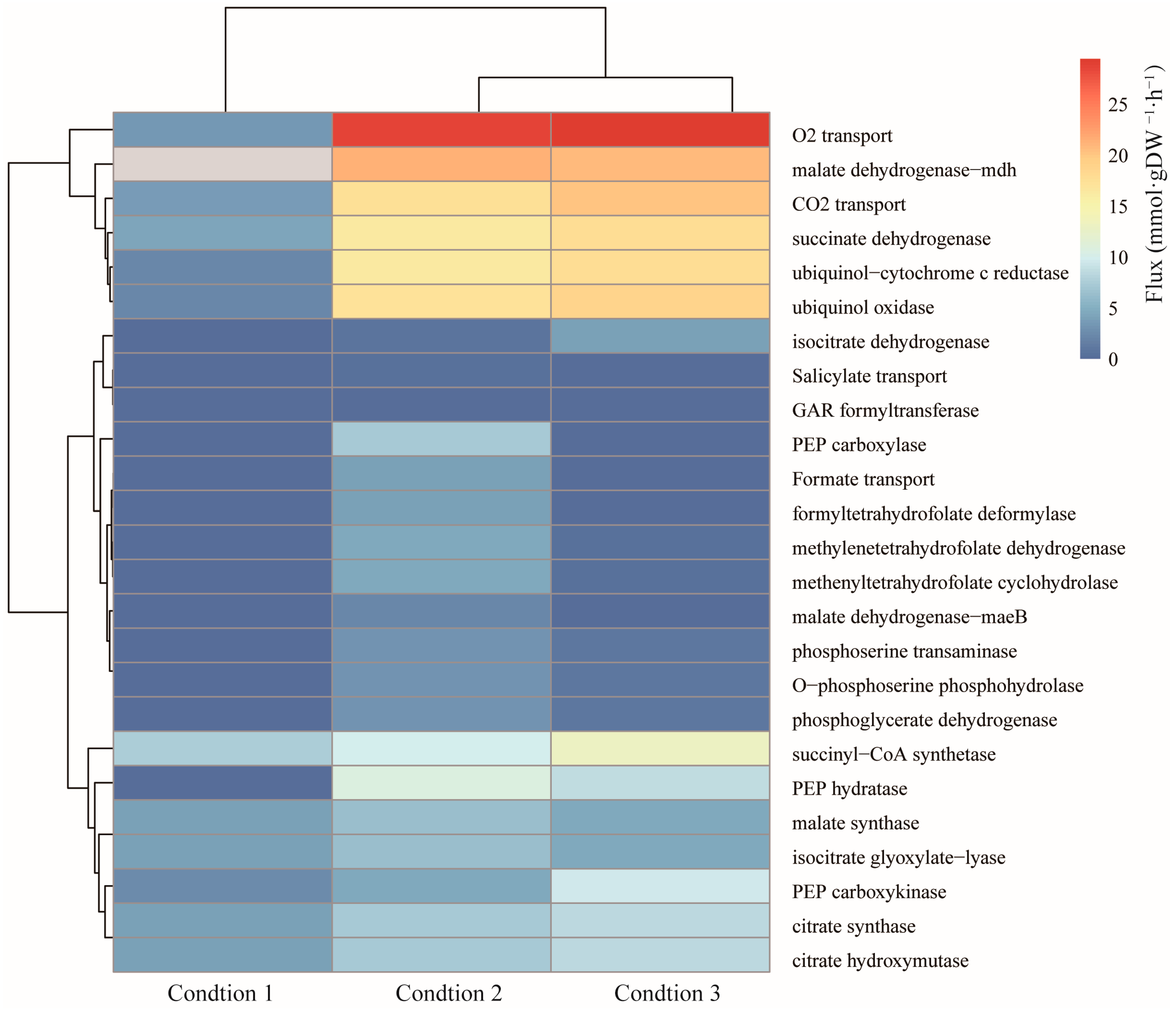 Ijms 25 09321 g004 Ijms 25 09321 g004