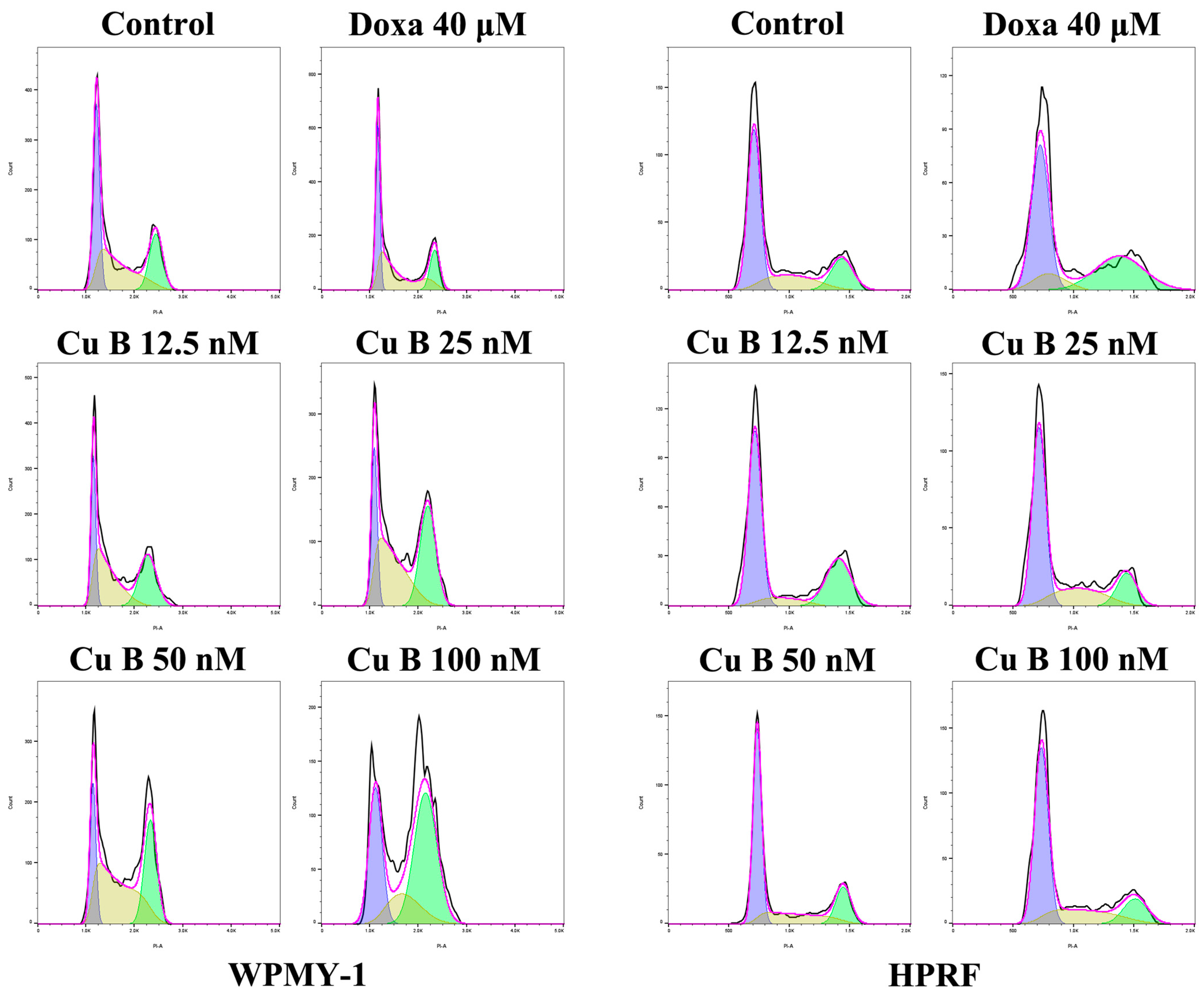 Ijms 25 09333 g005a Ijms 25 09333 g005a