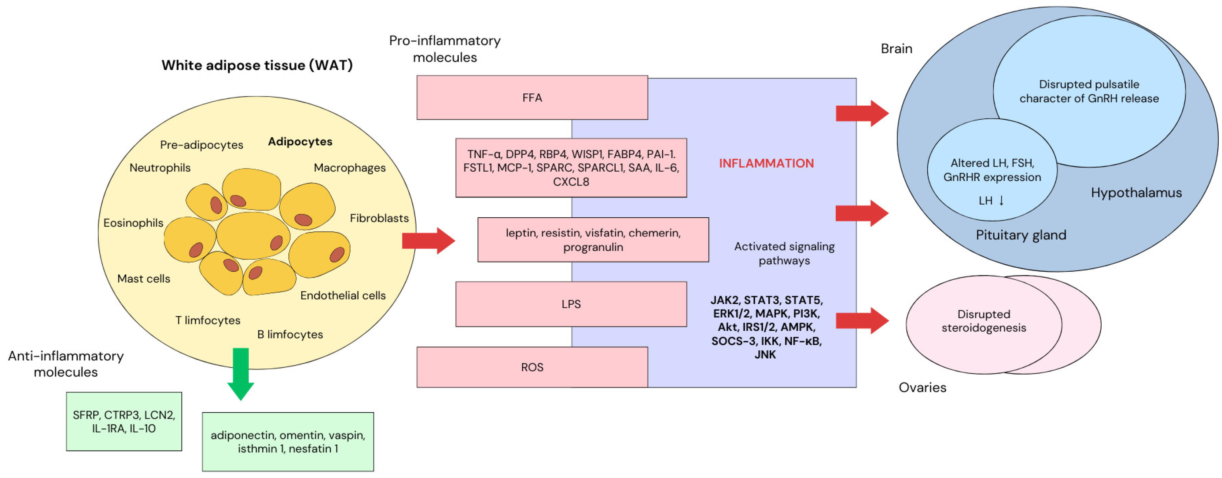 Ijms 25 09391 g001 Ijms 25 09391 g001