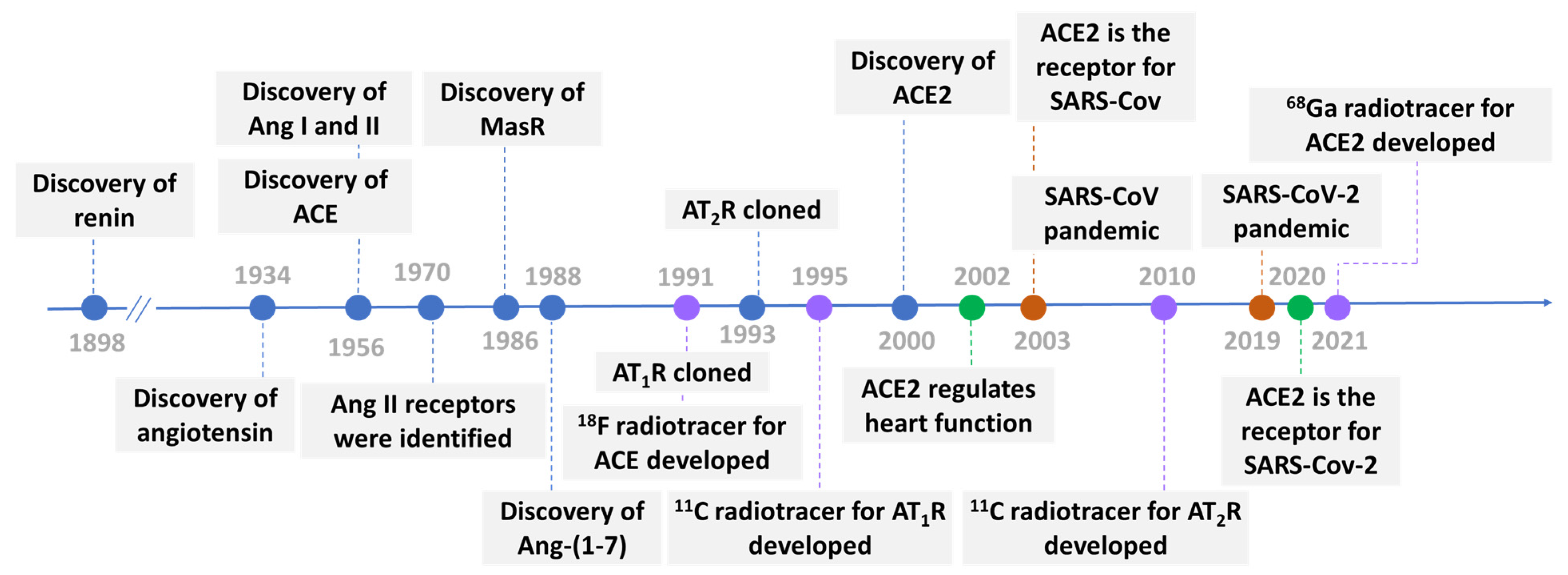 Ijms 25 09419 g001 Ijms 25 09419 g001