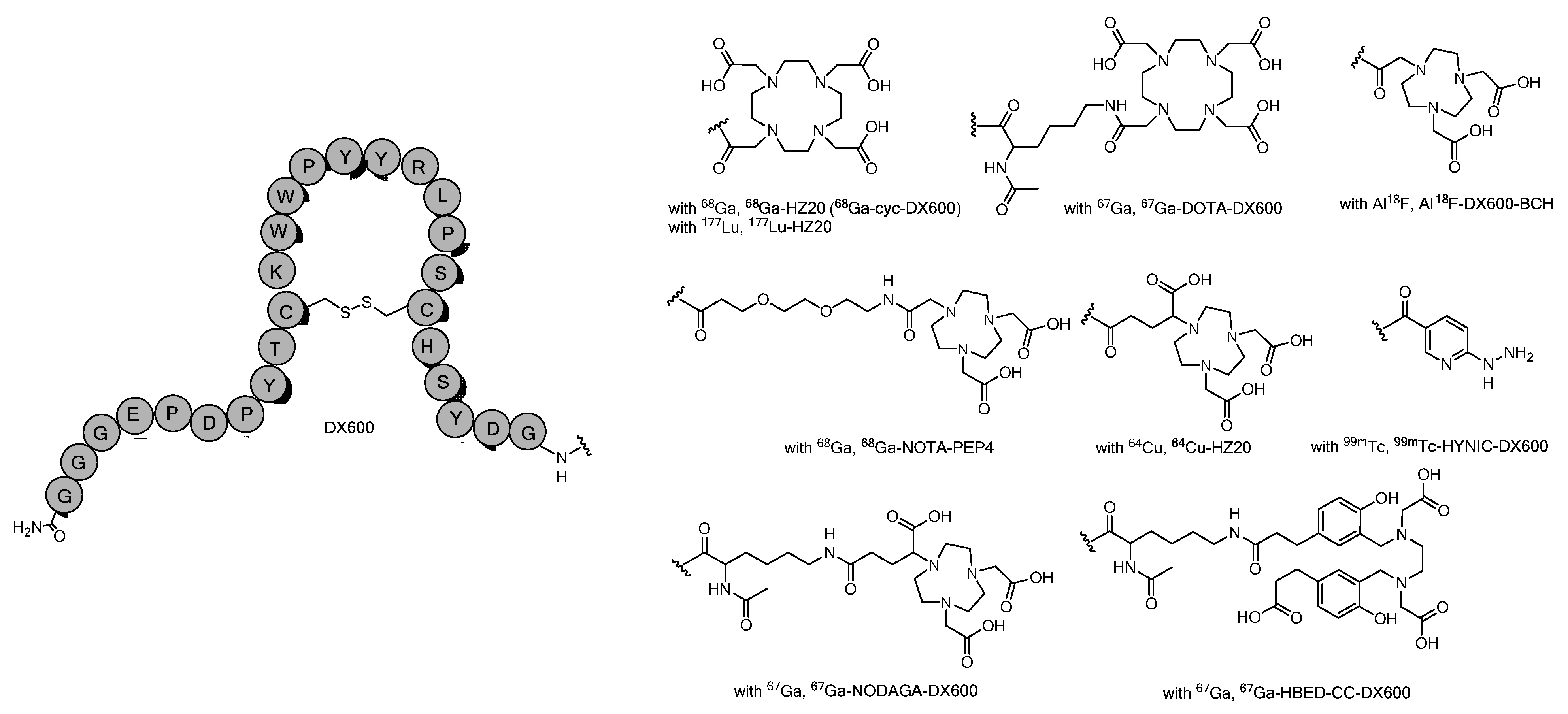 Ijms 25 09419 g004 Ijms 25 09419 g004