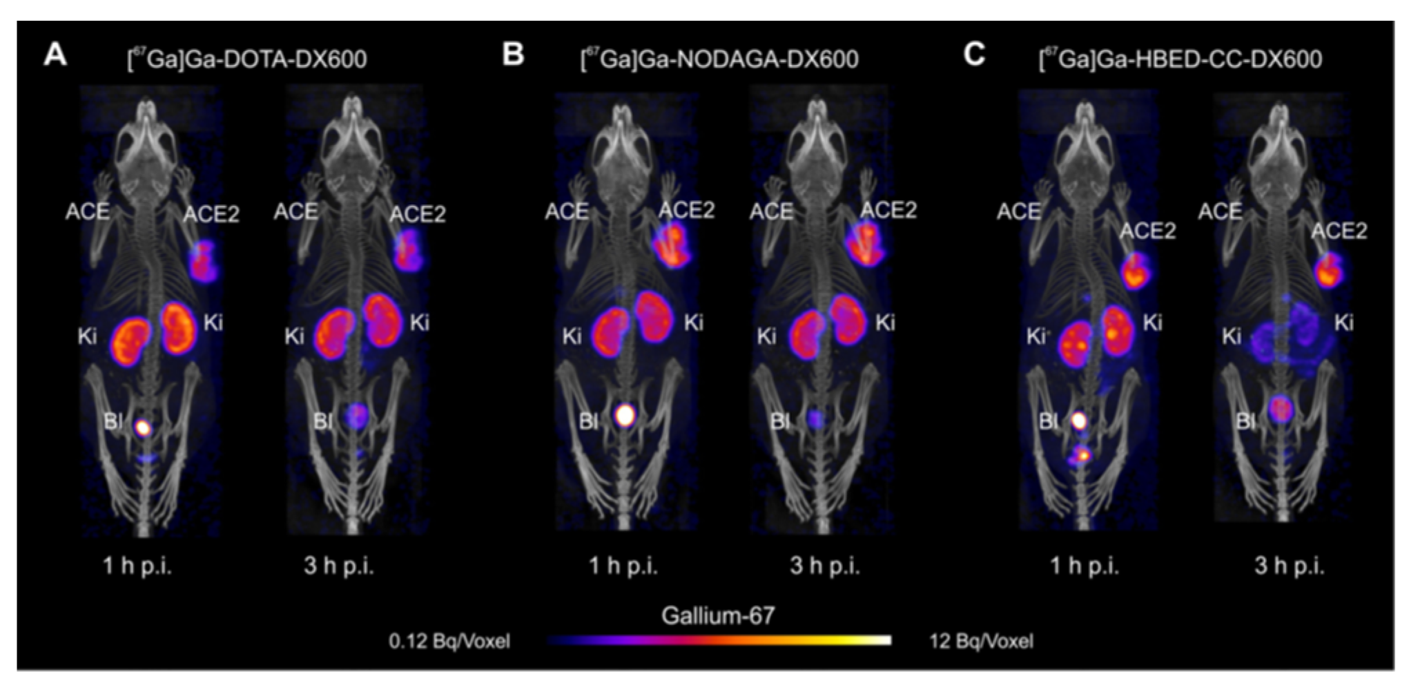 Ijms 25 09419 g008 Ijms 25 09419 g008