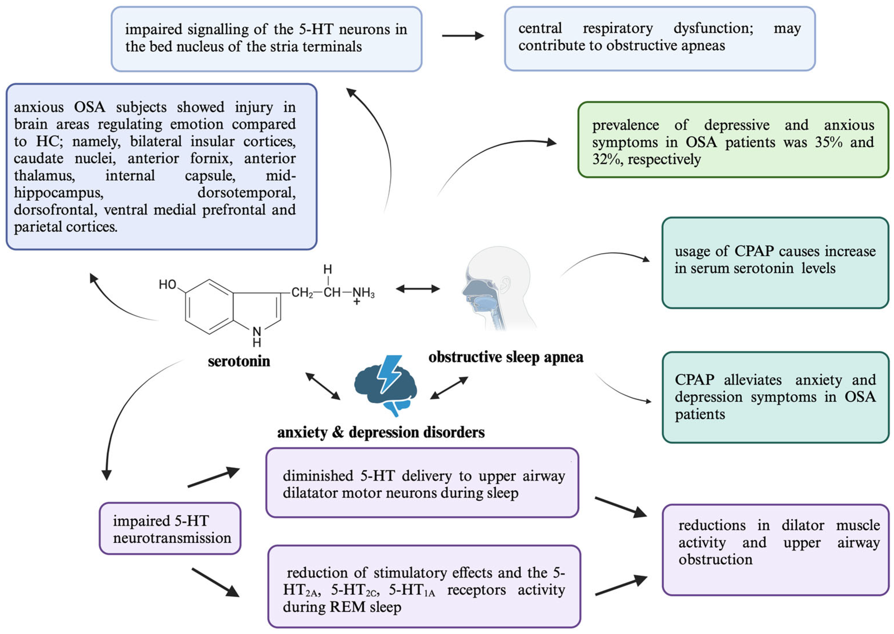 Ijms 25 09427 g001 Ijms 25 09427 g001