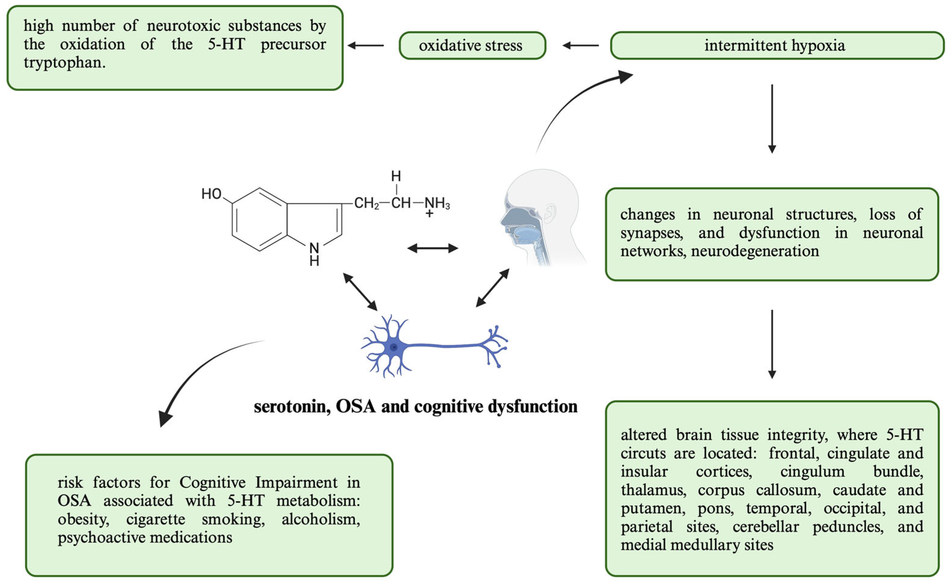 Ijms 25 09427 g002 Ijms 25 09427 g002