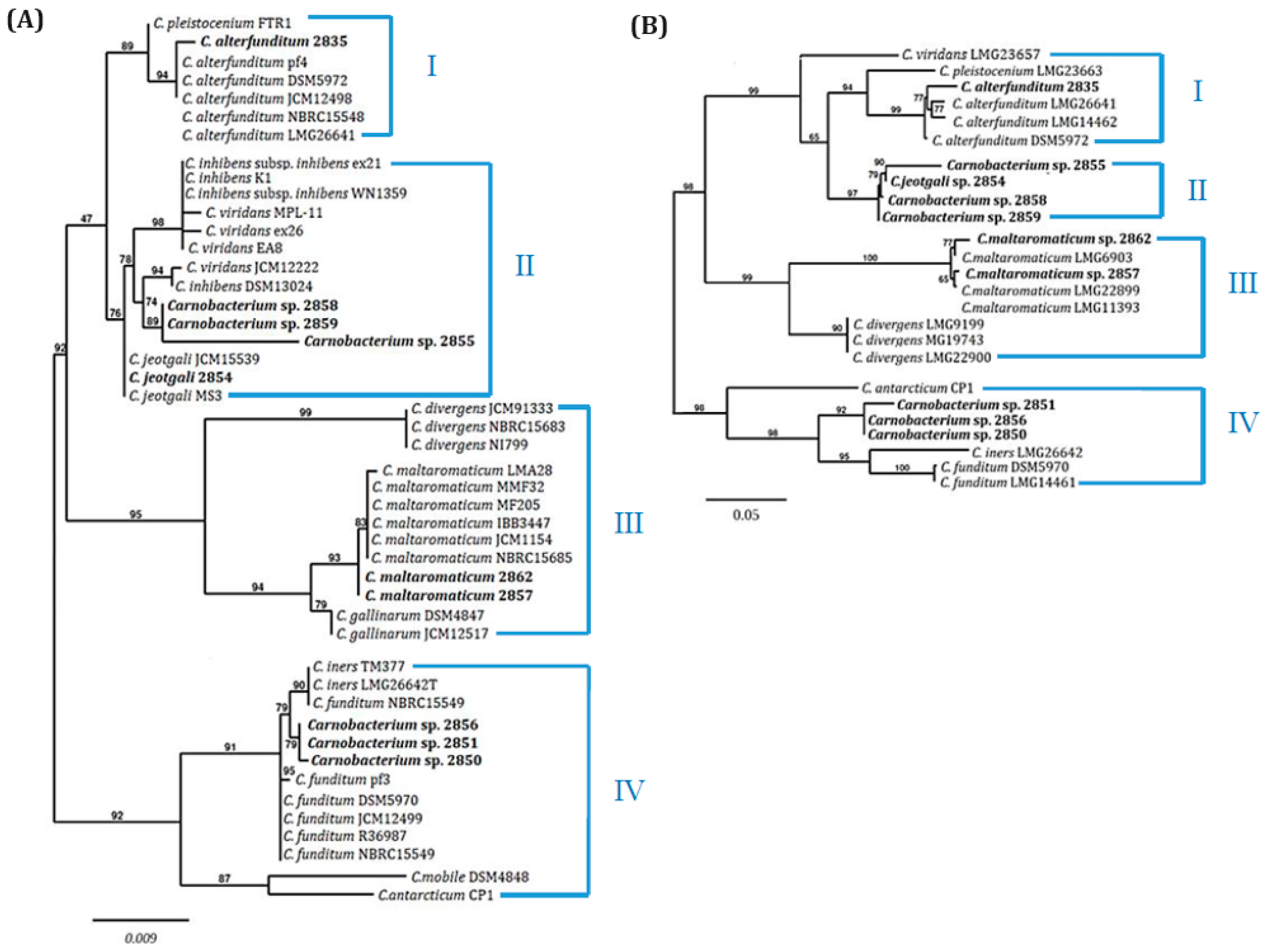 Ijms 25 09444 g001 Ijms 25 09444 g001
