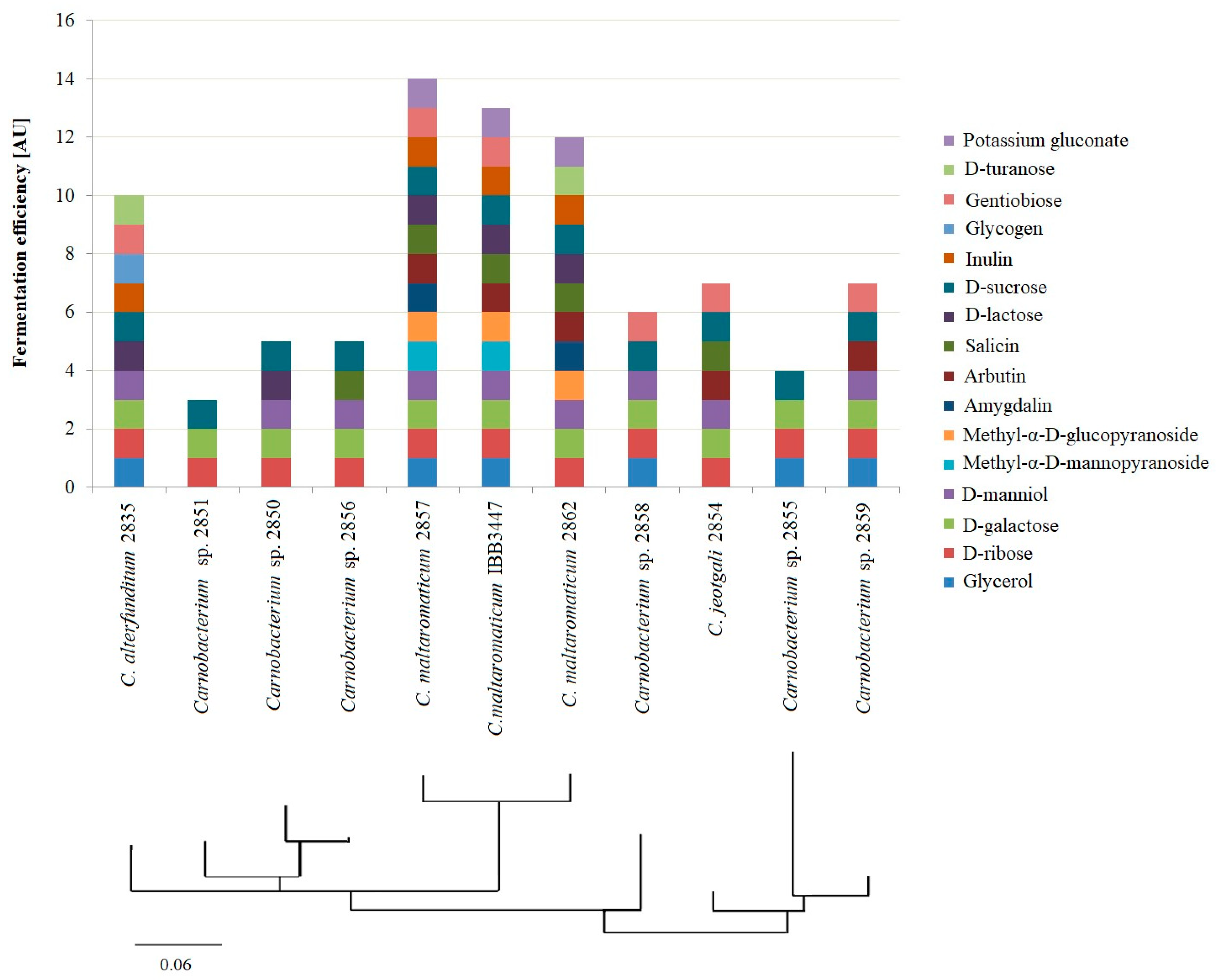 Ijms 25 09444 g003 Ijms 25 09444 g003