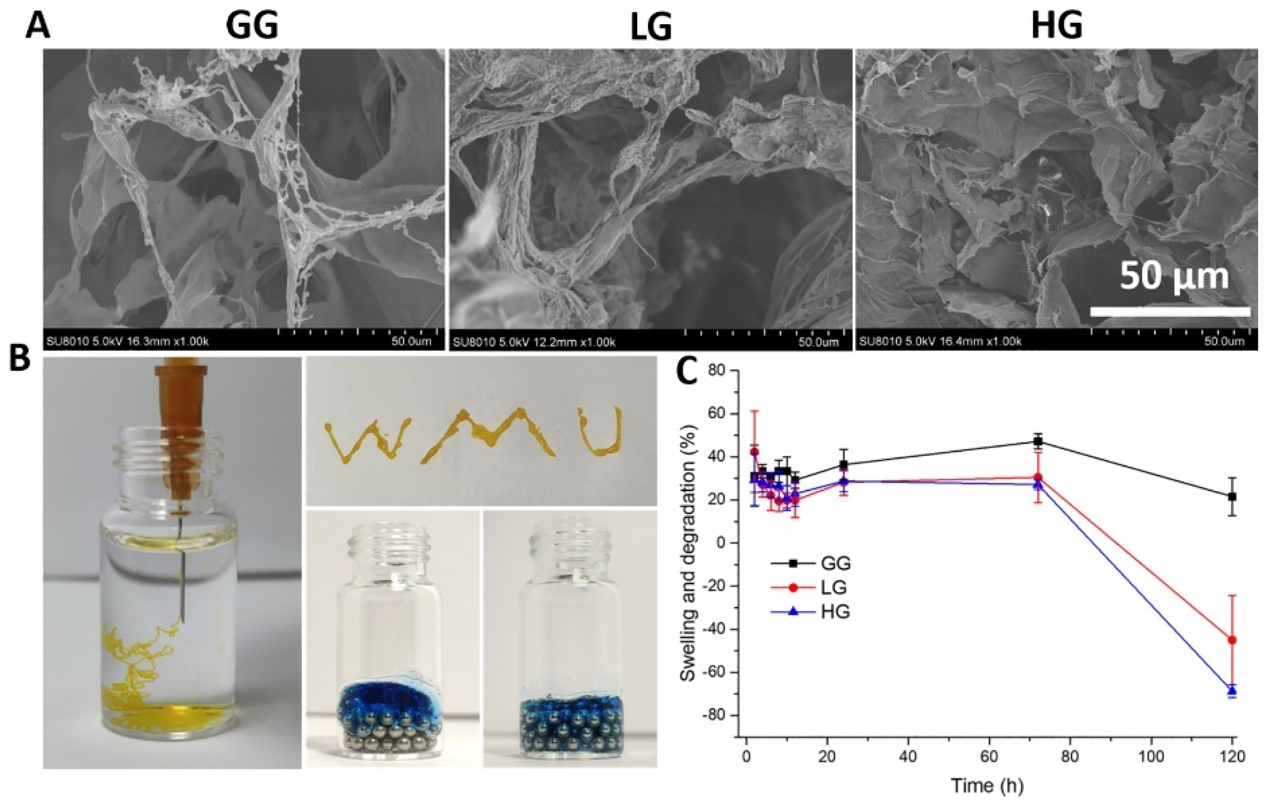 Ijms 25 09485 g007 Ijms 25 09485 g007