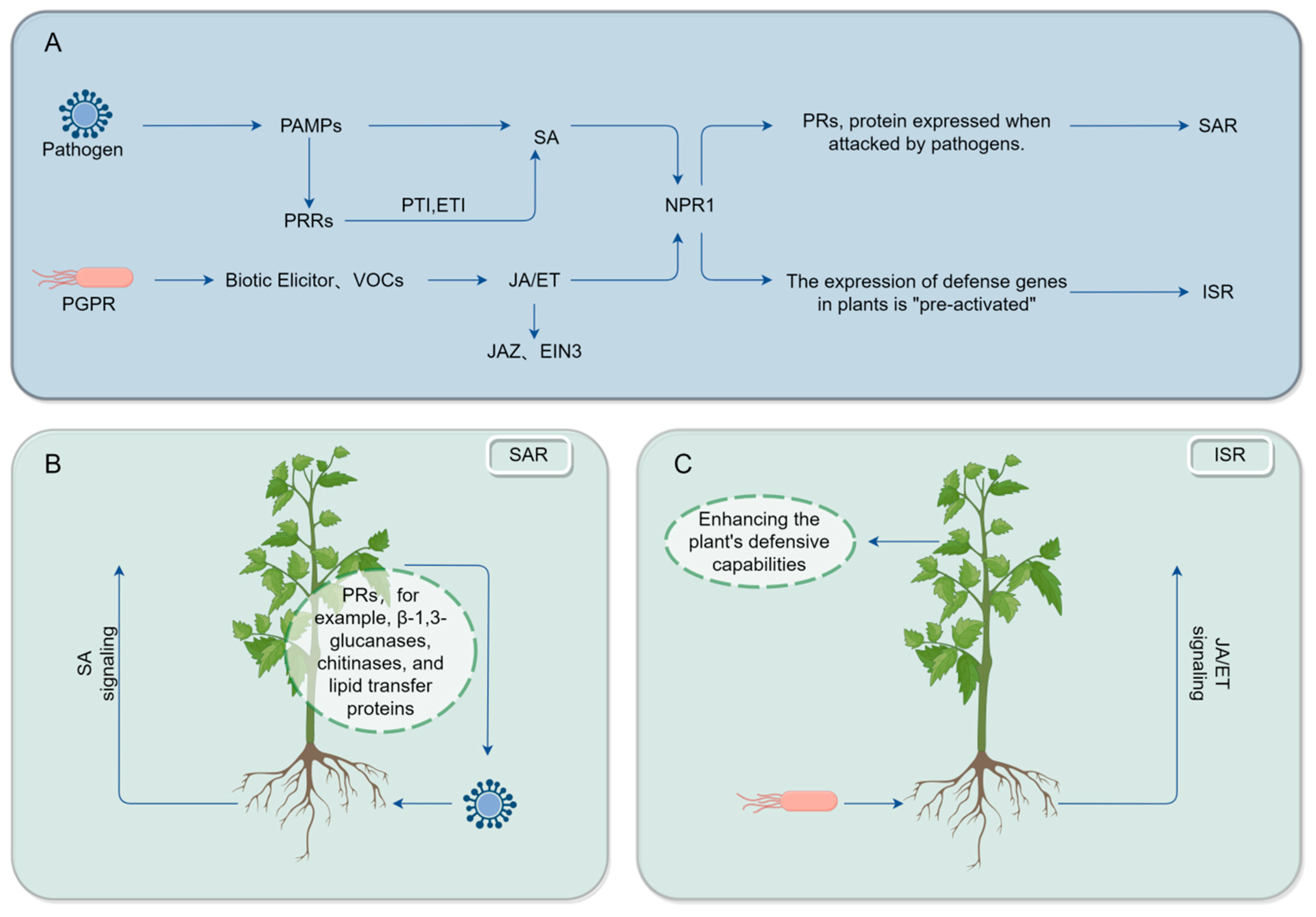 Ijms 25 09491 g003 Ijms 25 09491 g003