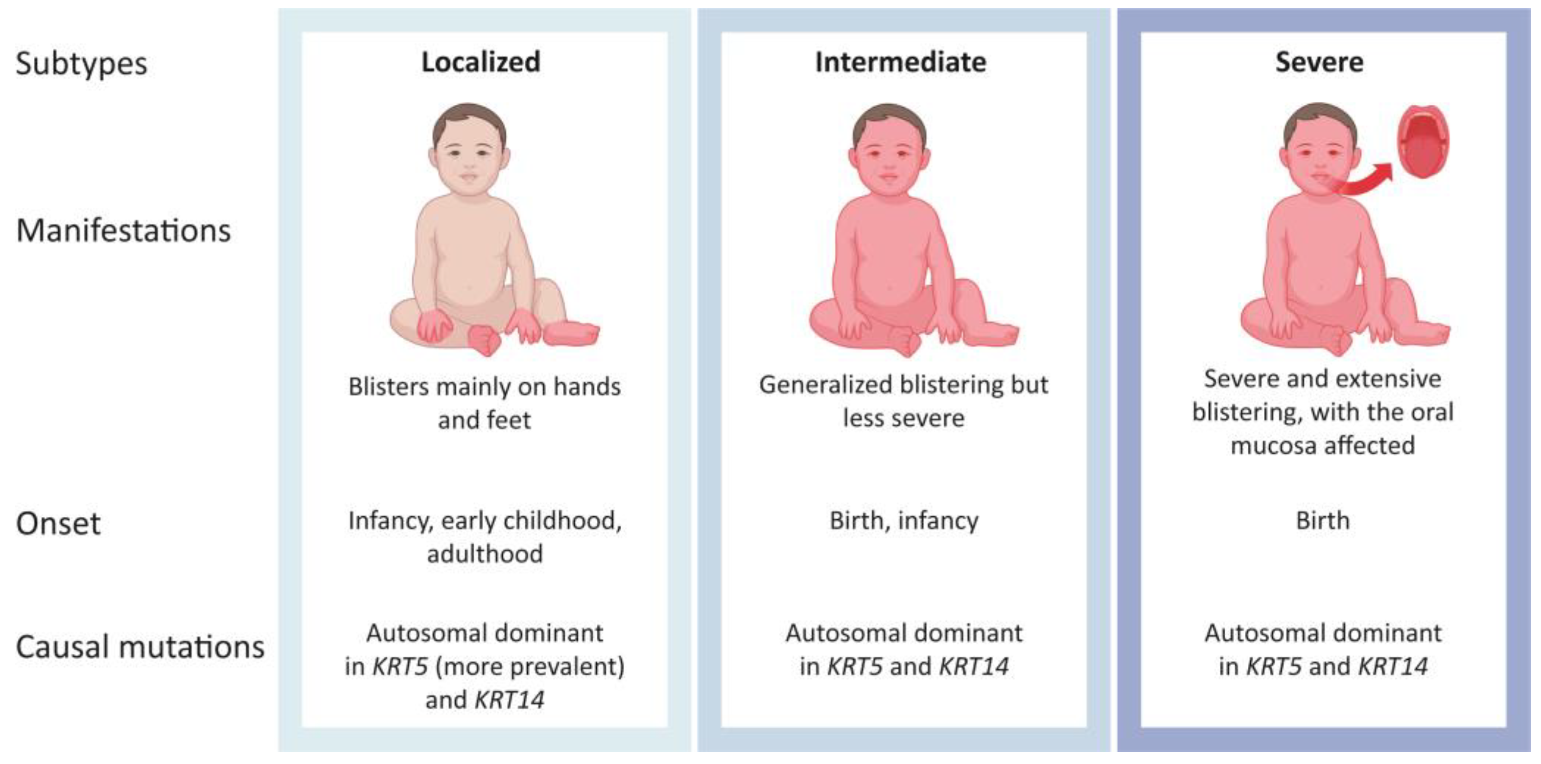 Ijms 25 09495 g001 Ijms 25 09495 g001