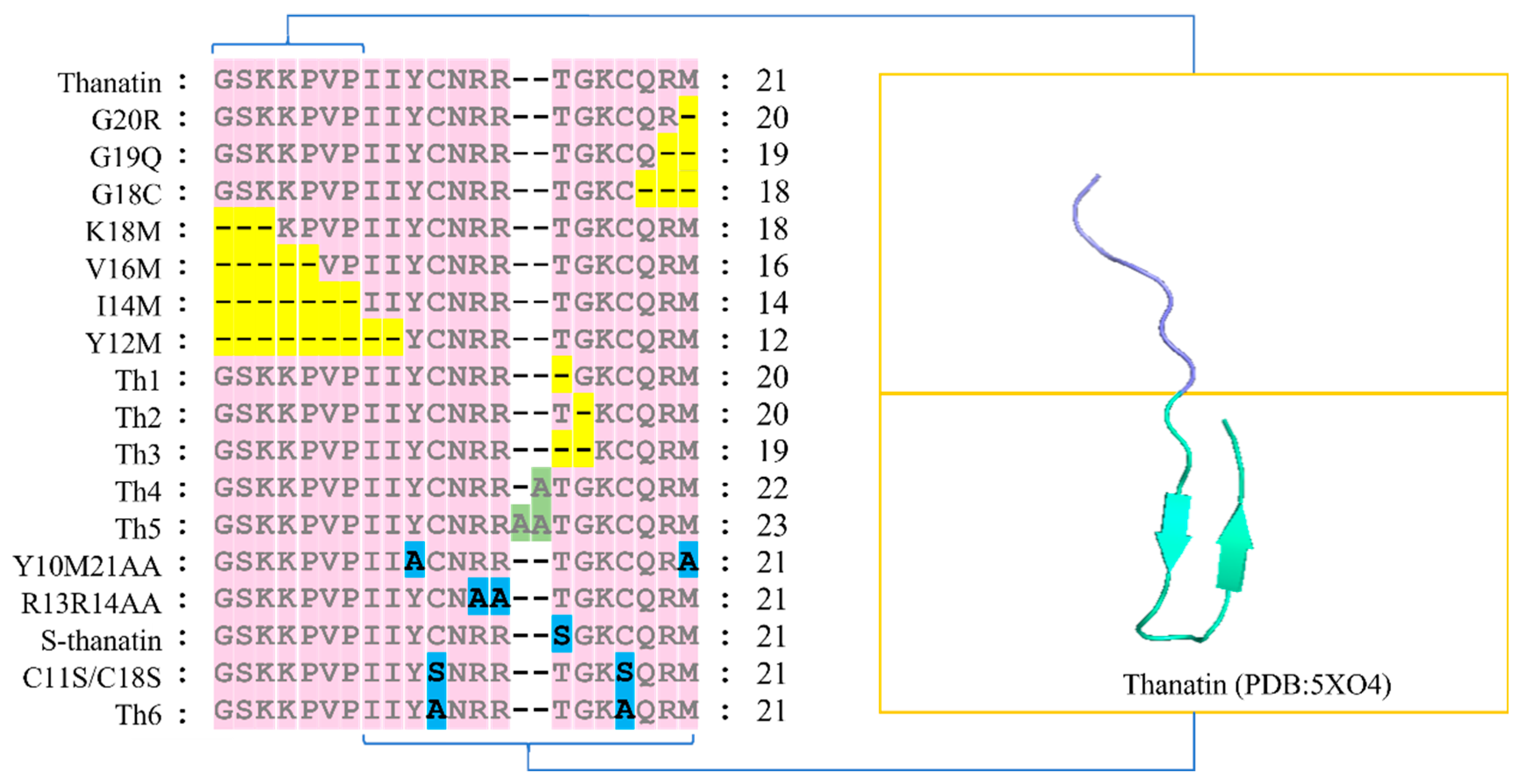 Ijms 25 09496 g001 Ijms 25 09496 g001