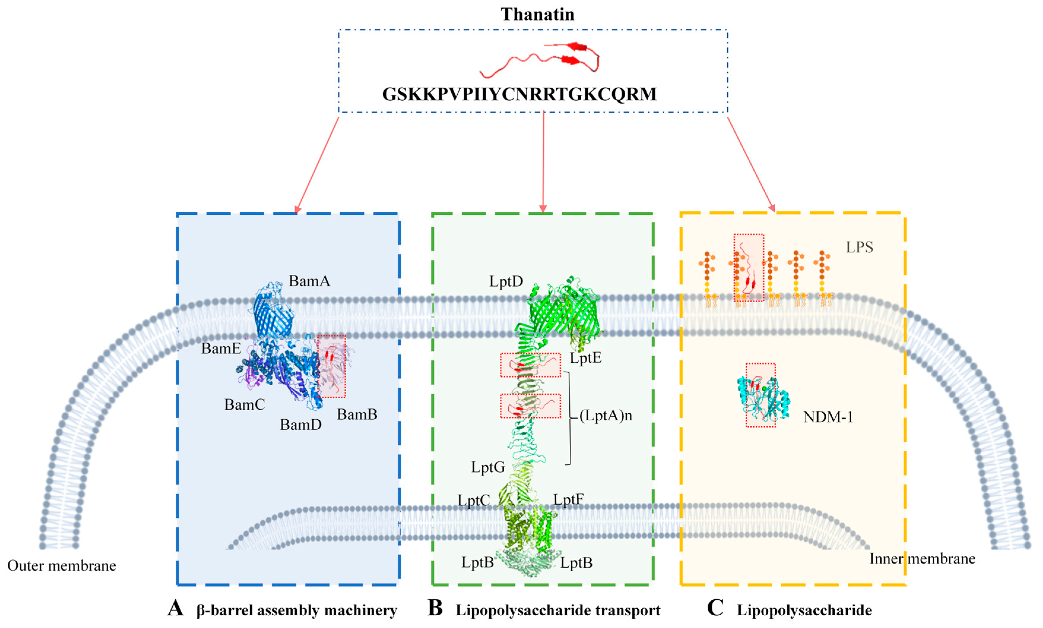 Ijms 25 09496 g002 Ijms 25 09496 g002