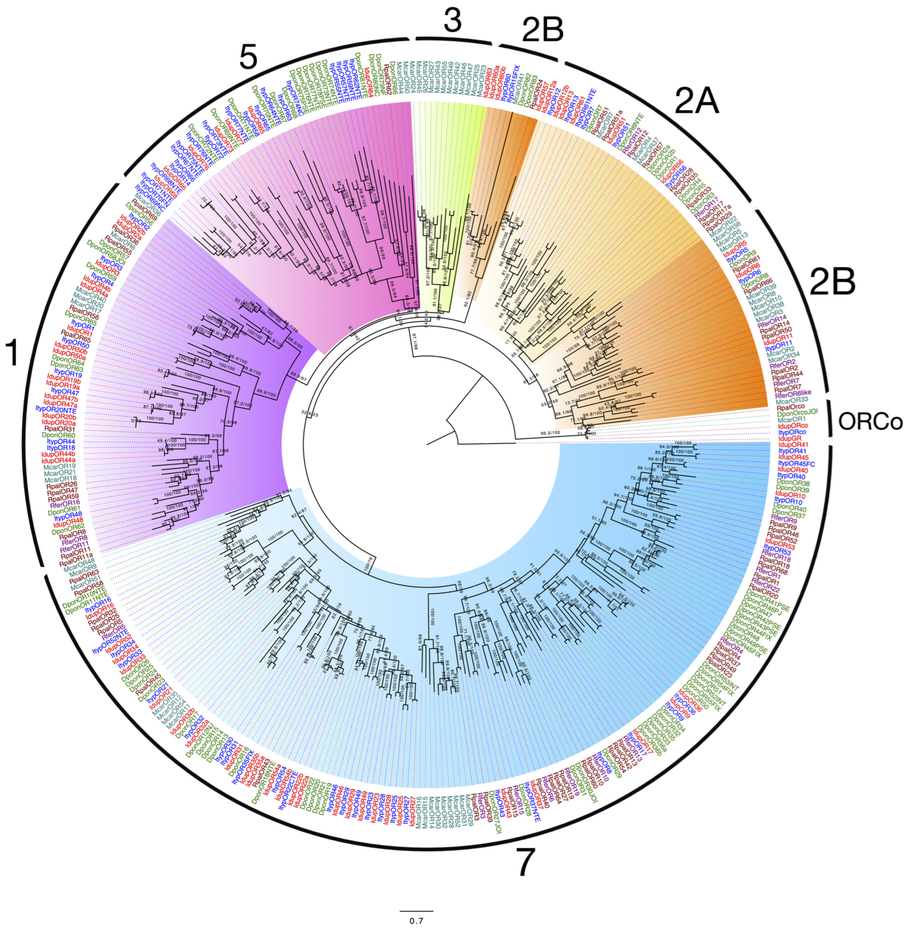 Ijms 25 09513 g001 Ijms 25 09513 g001