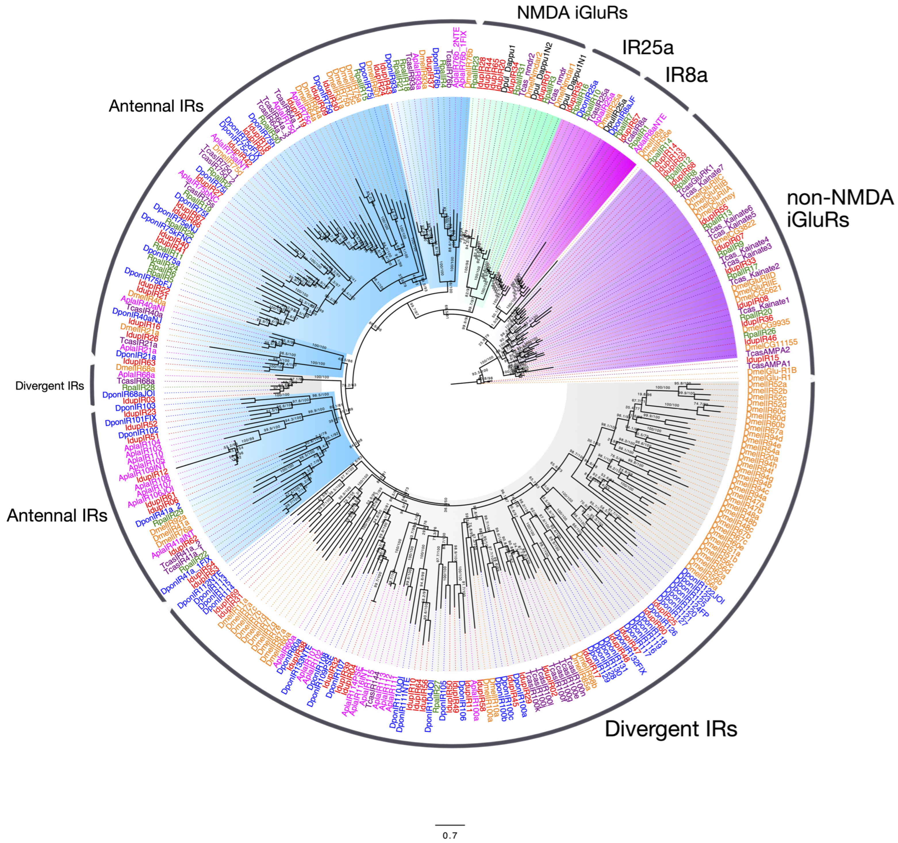 Ijms 25 09513 g002 Ijms 25 09513 g002