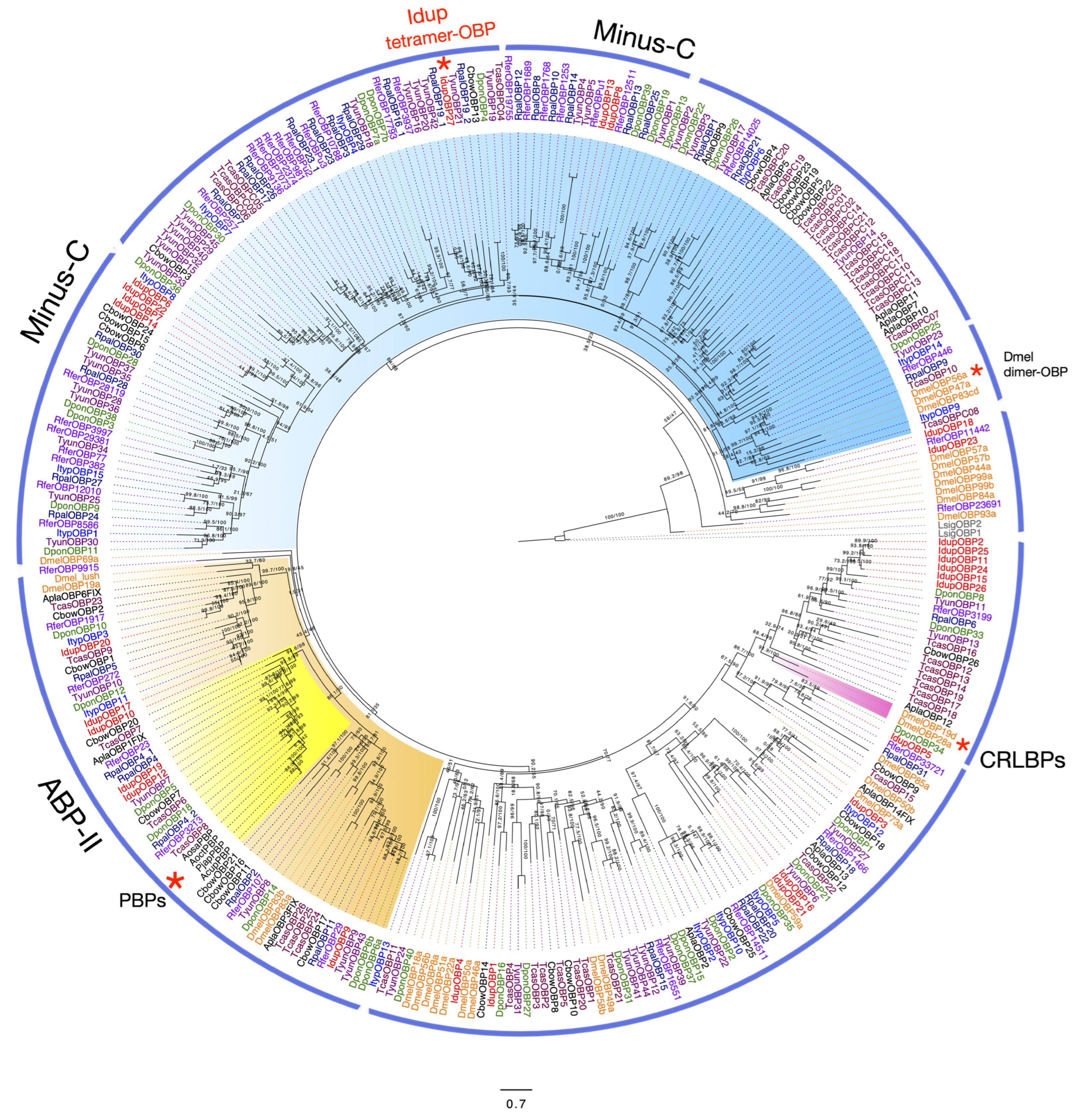 Ijms 25 09513 g004 Ijms 25 09513 g004