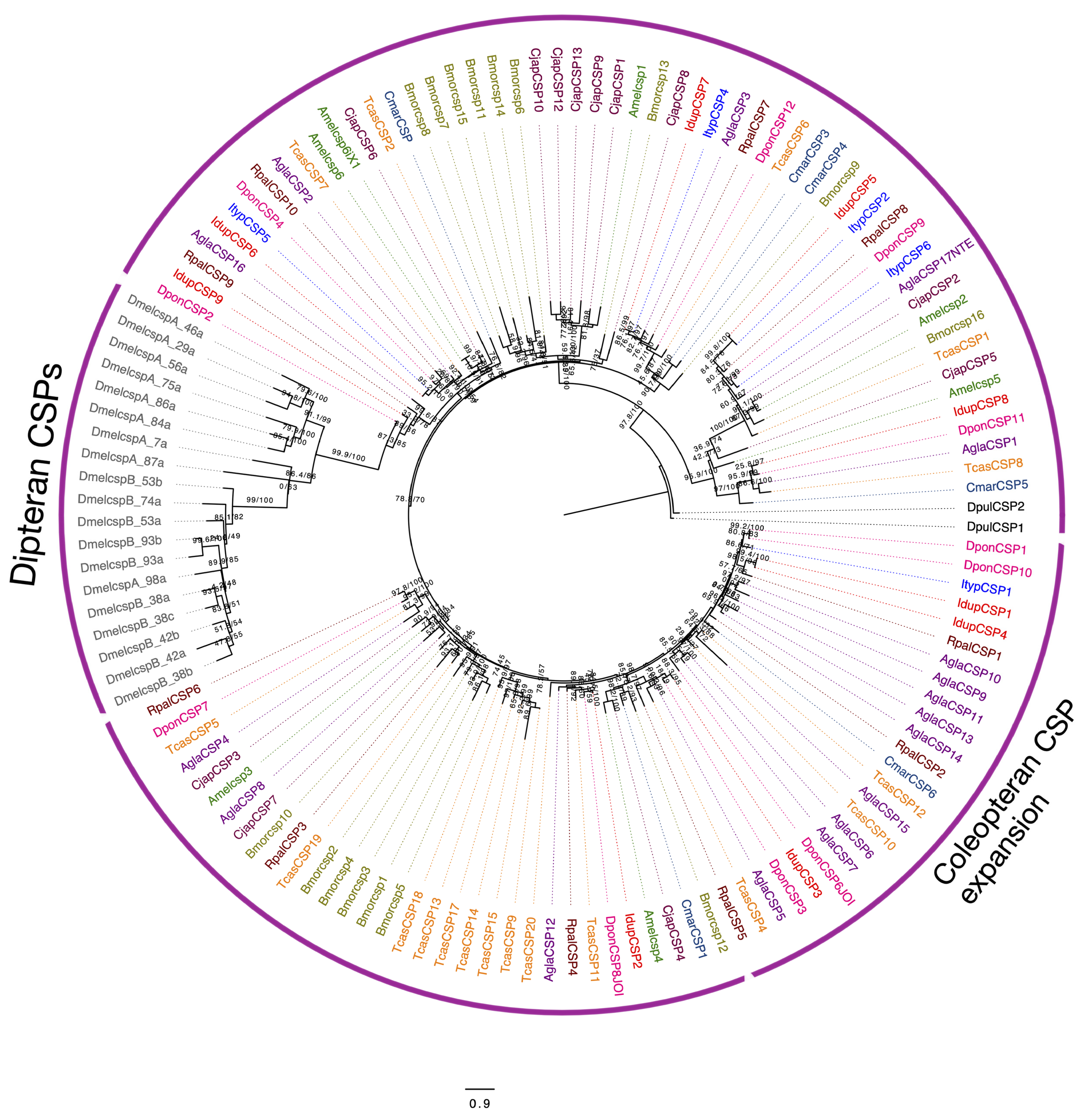 Ijms 25 09513 g006 Ijms 25 09513 g006