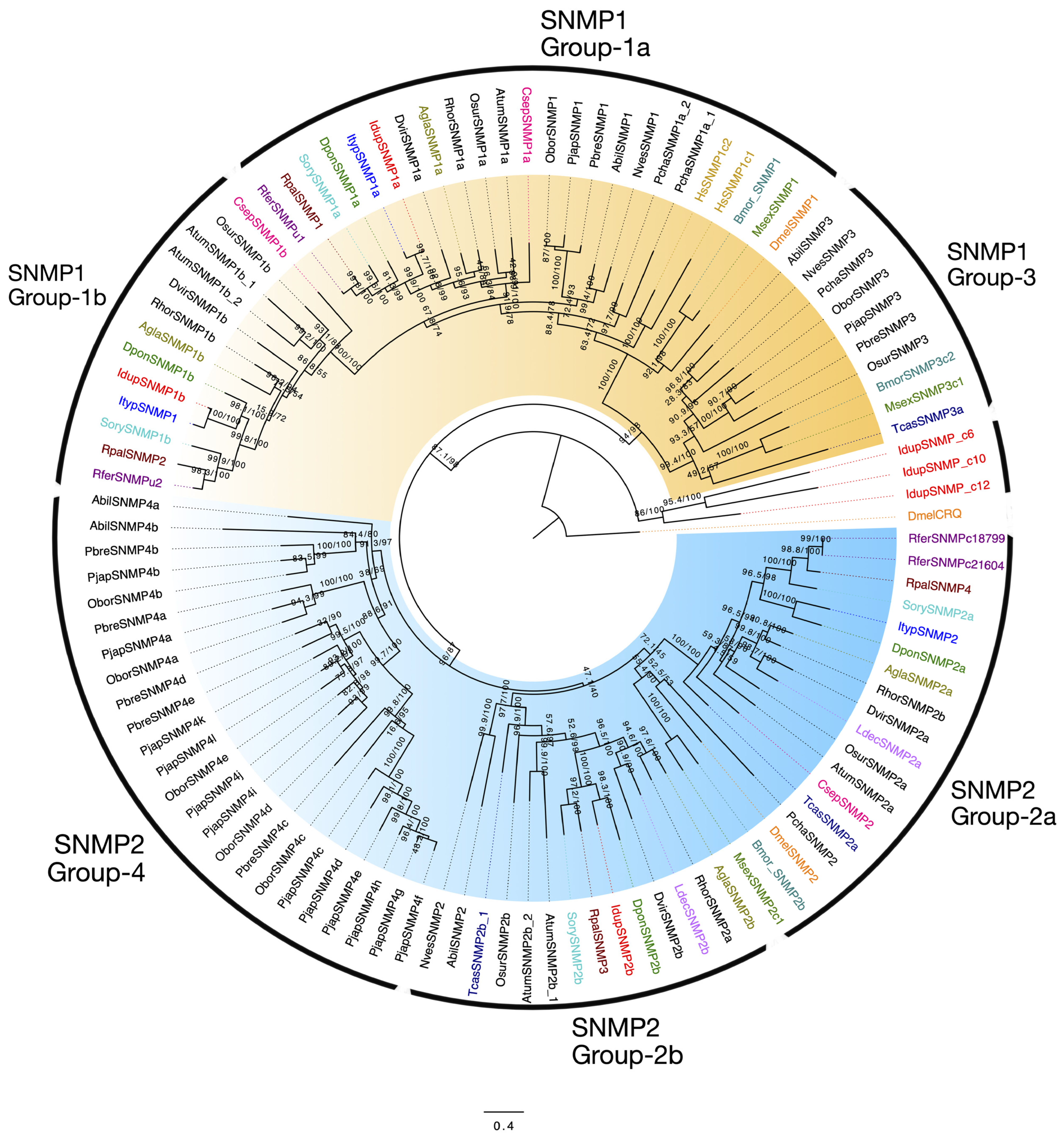 Ijms 25 09513 g007 Ijms 25 09513 g007