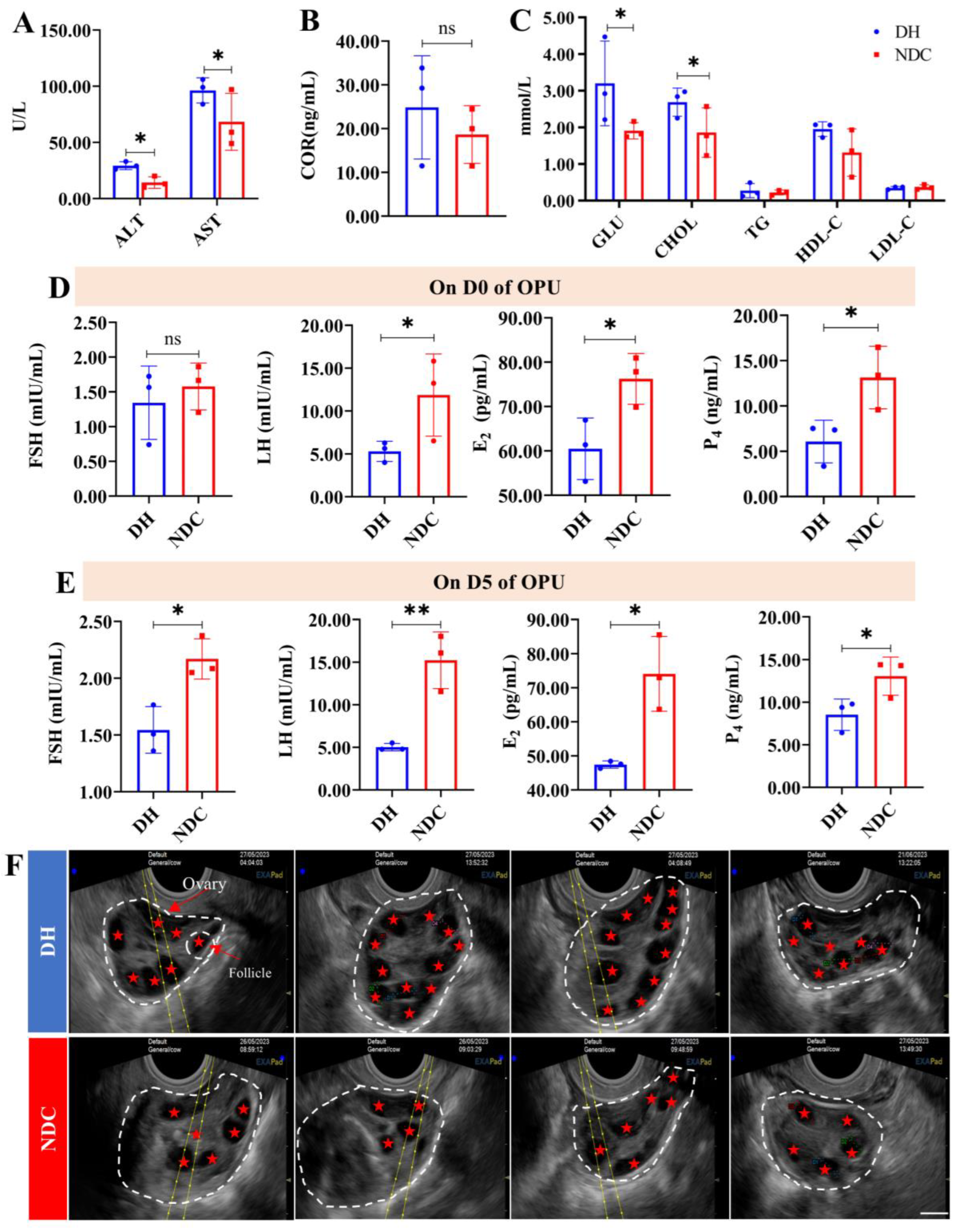 Multi-Omics Reveals the Role of Arachidonic Acid Metabolism in the 