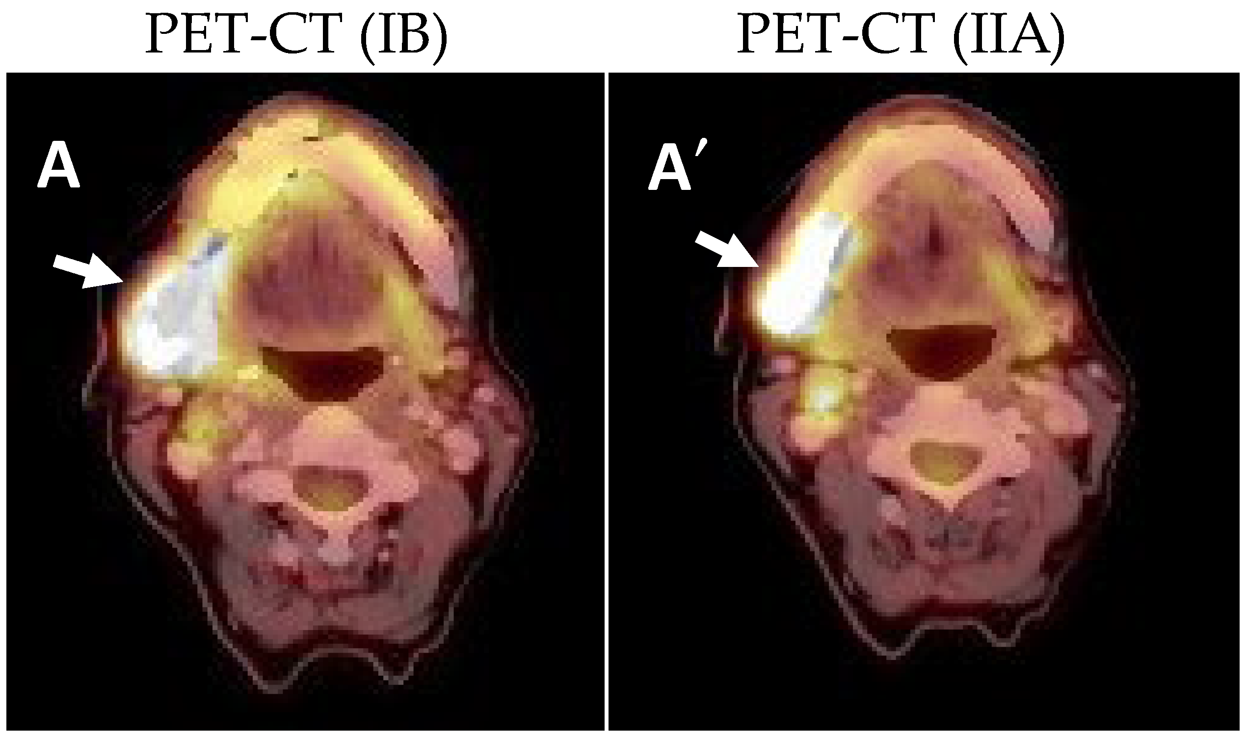 Ijms 25 09547 g003 Ijms 25 09547 g003