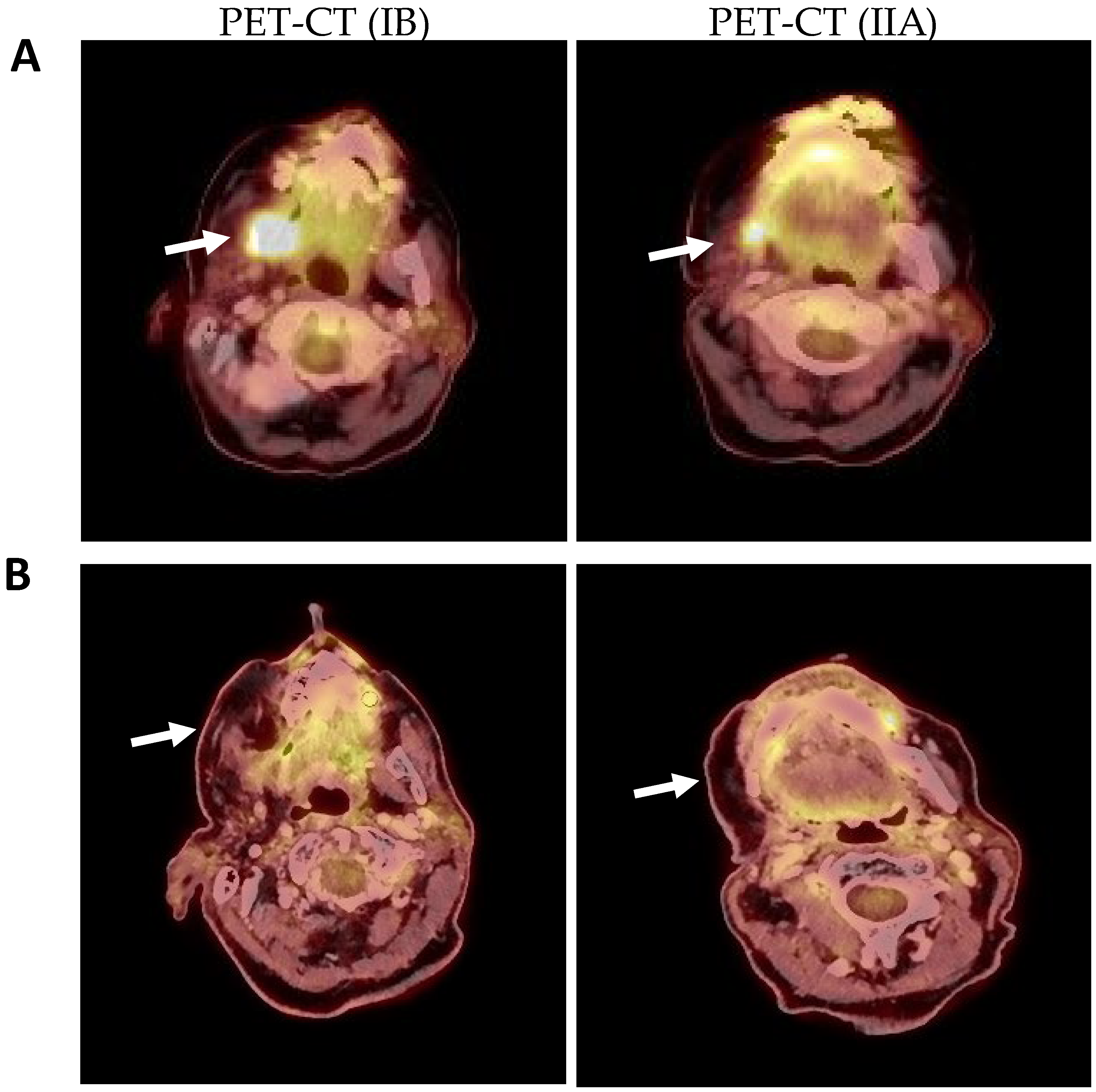 Ijms 25 09547 g006 Ijms 25 09547 g006