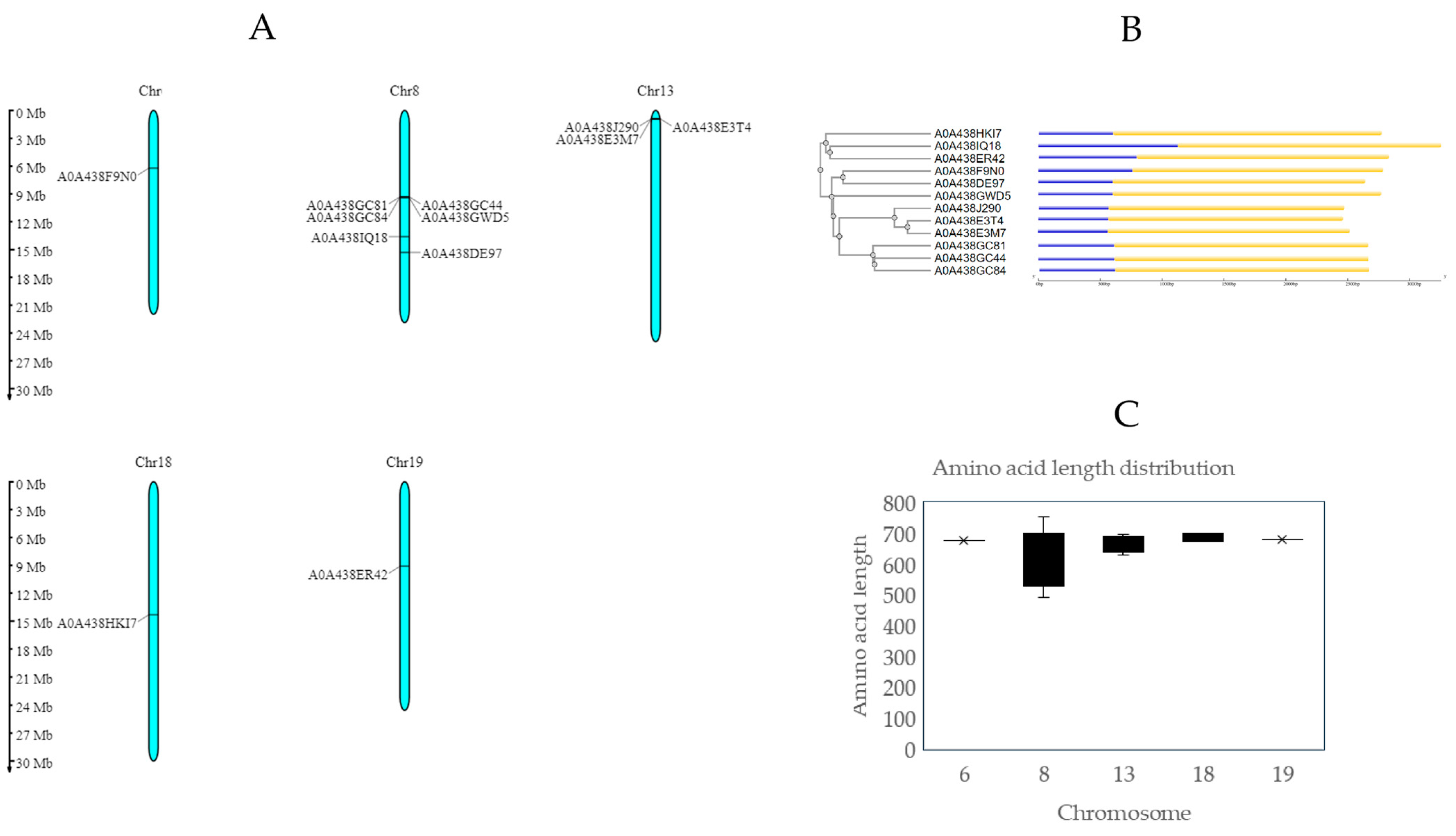 Ijms 25 09553 g001 Ijms 25 09553 g001