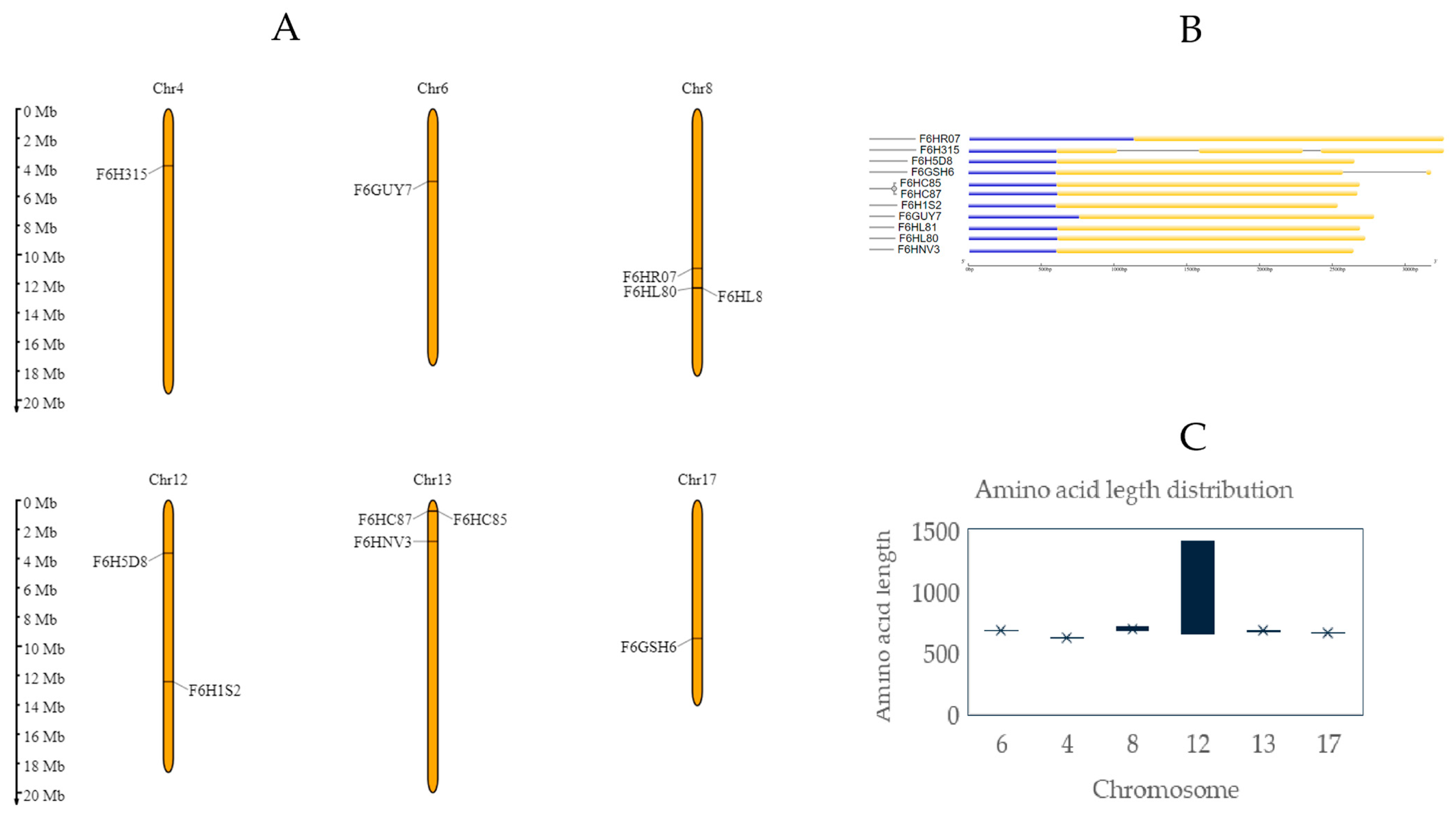 Ijms 25 09553 g002 Ijms 25 09553 g002