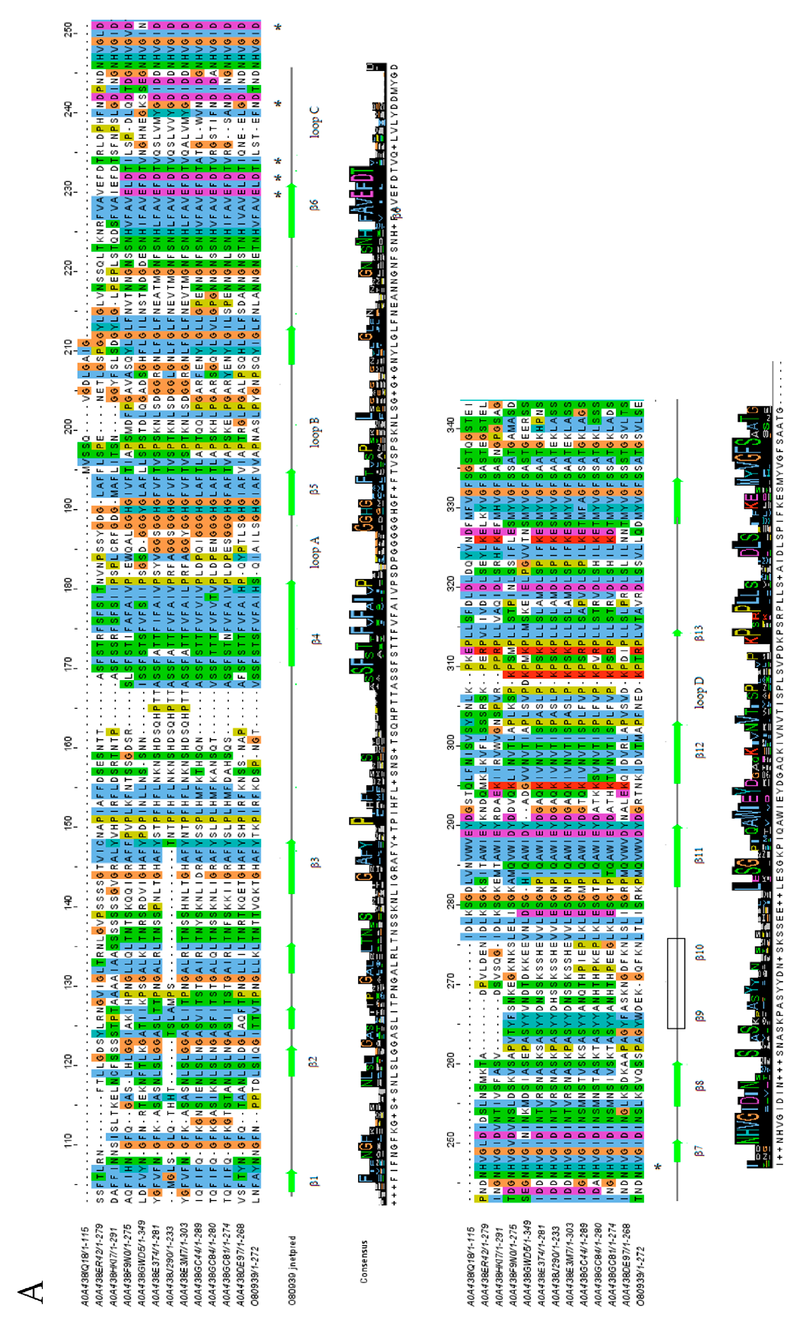 Ijms 25 09553 g004a Ijms 25 09553 g004a