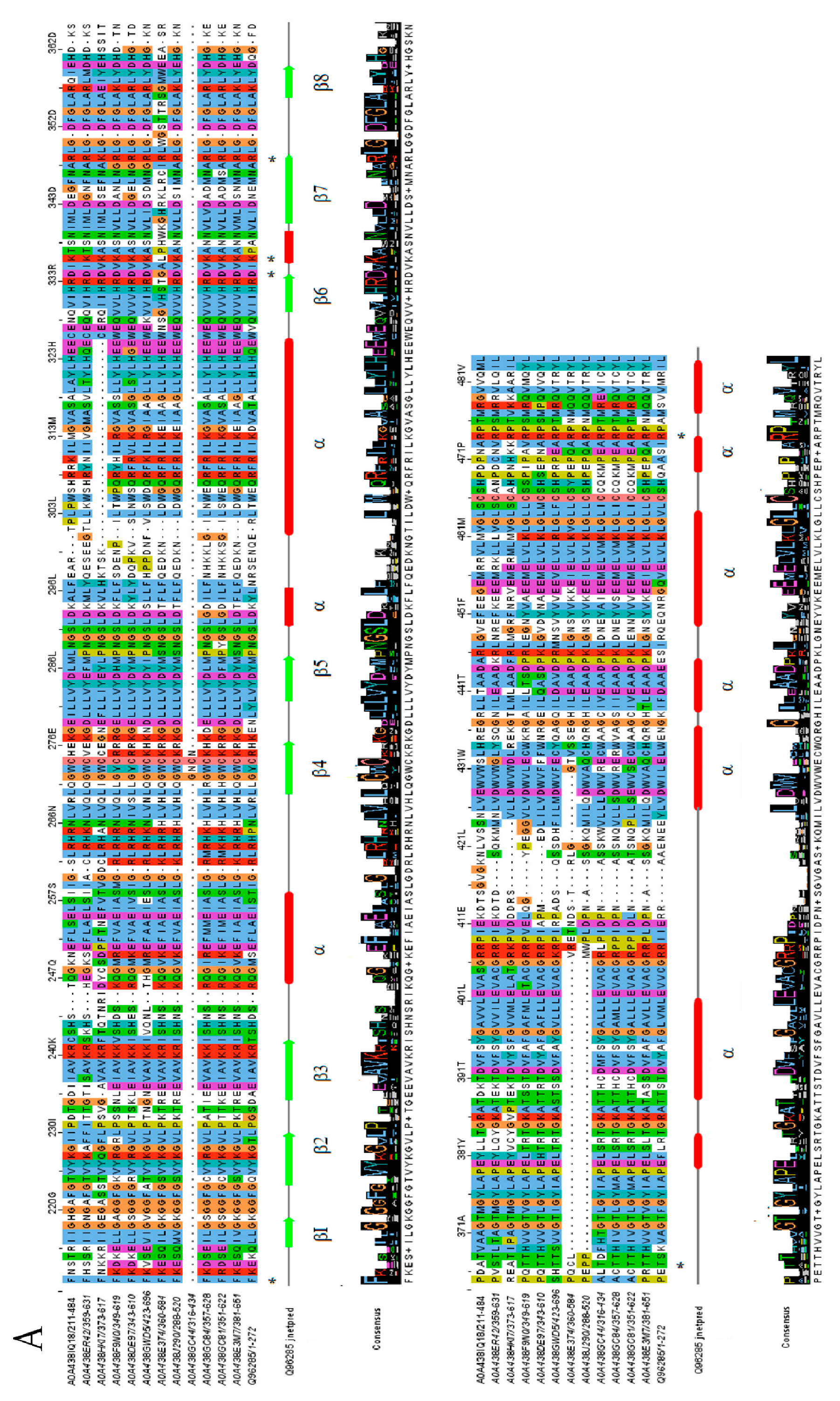 Ijms 25 09553 g005a Ijms 25 09553 g005a