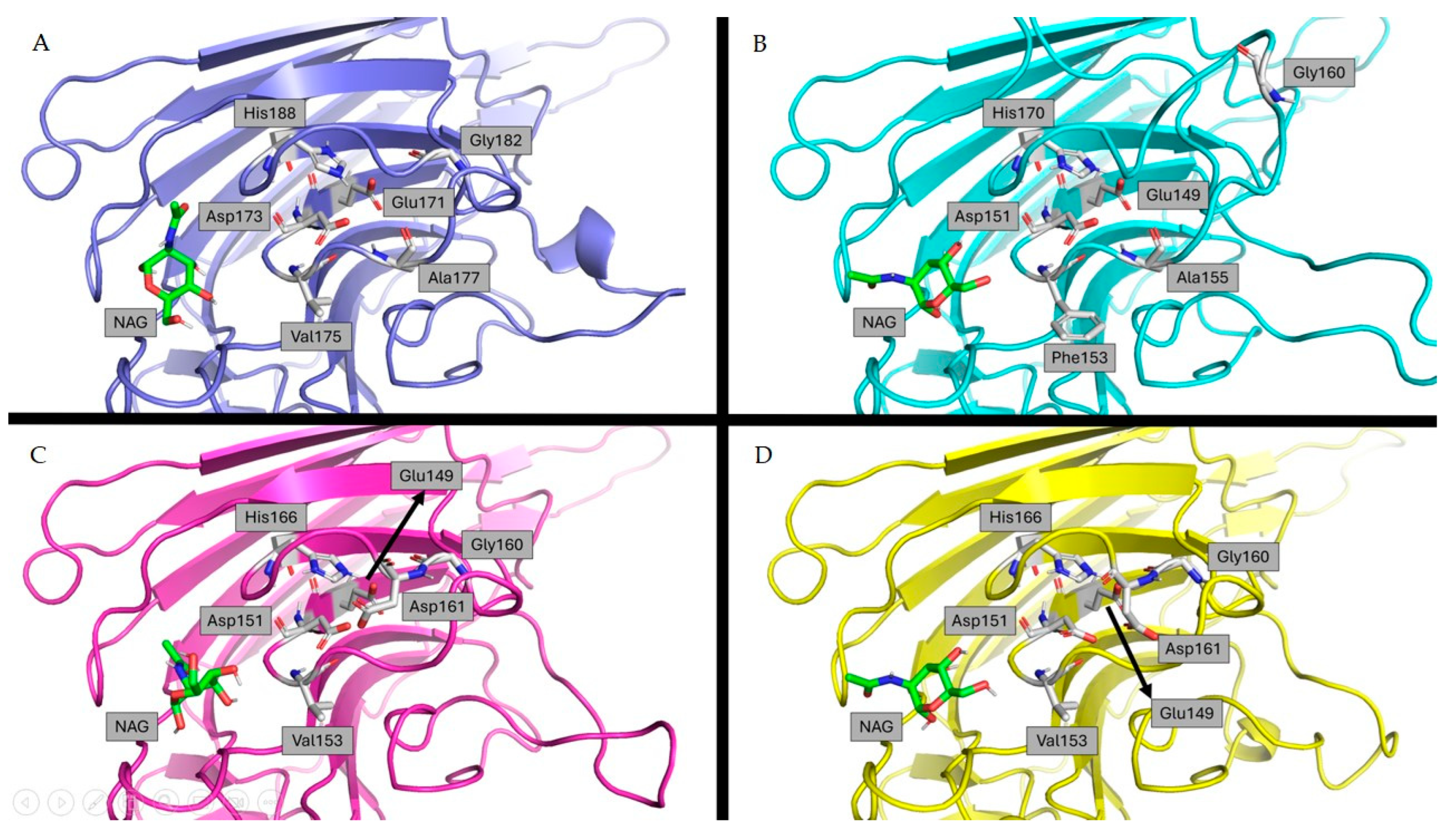 Ijms 25 09553 g006 Ijms 25 09553 g006