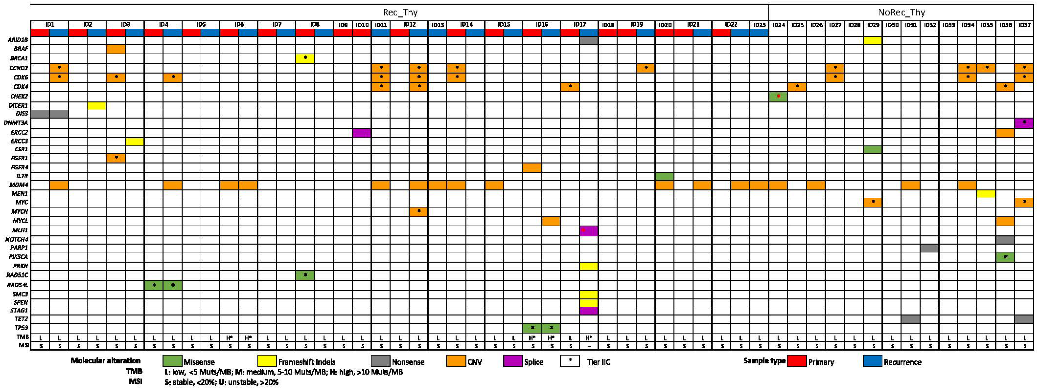 Ijms 25 09560 g001 Ijms 25 09560 g001