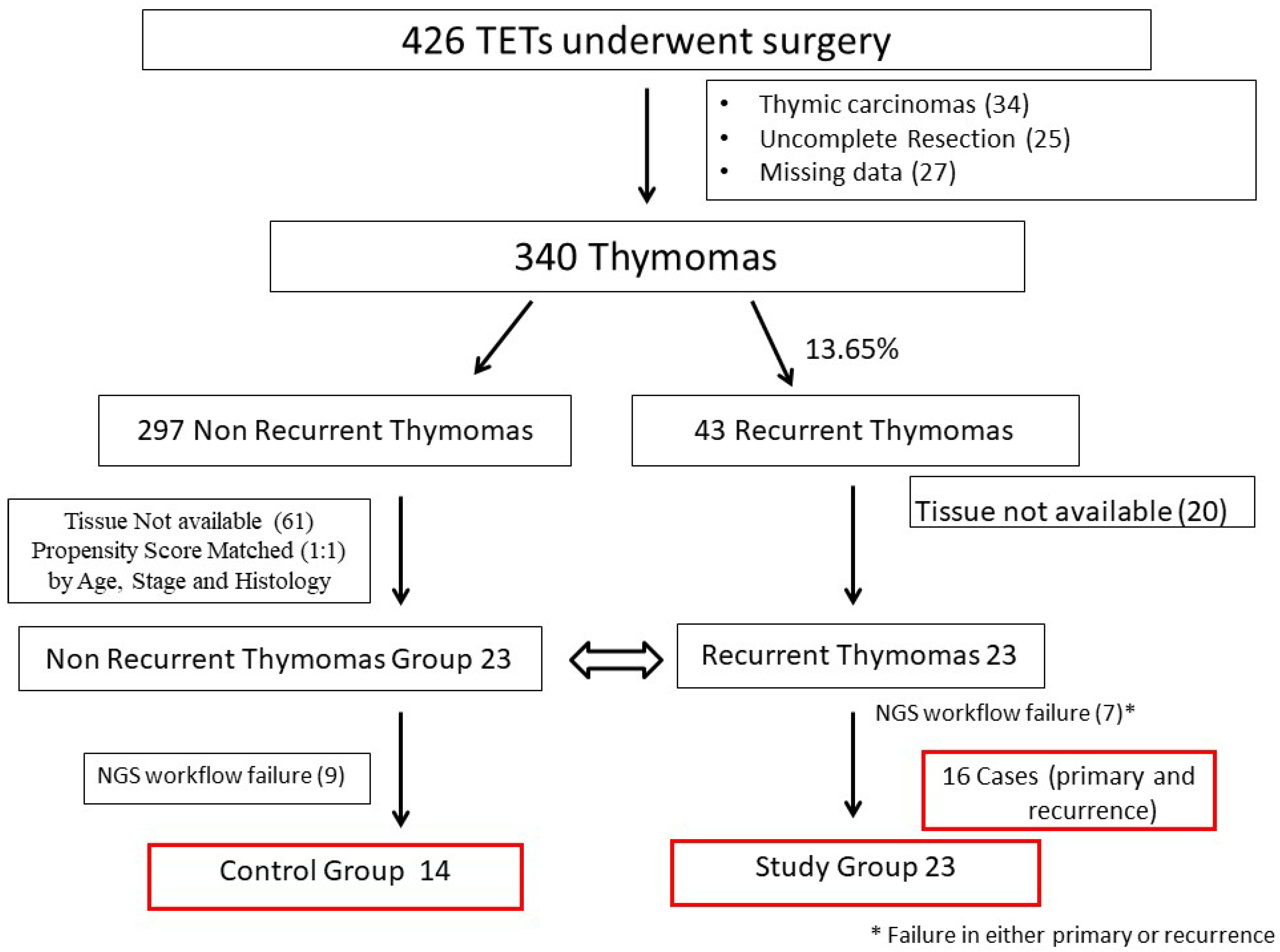 Ijms 25 09560 g002 Ijms 25 09560 g002