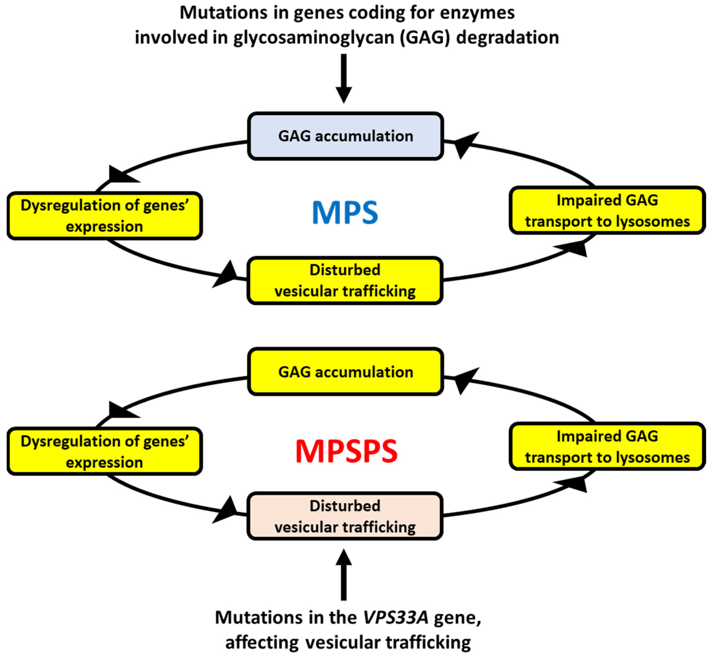 Ijms 25 09570 g001 Ijms 25 09570 g001