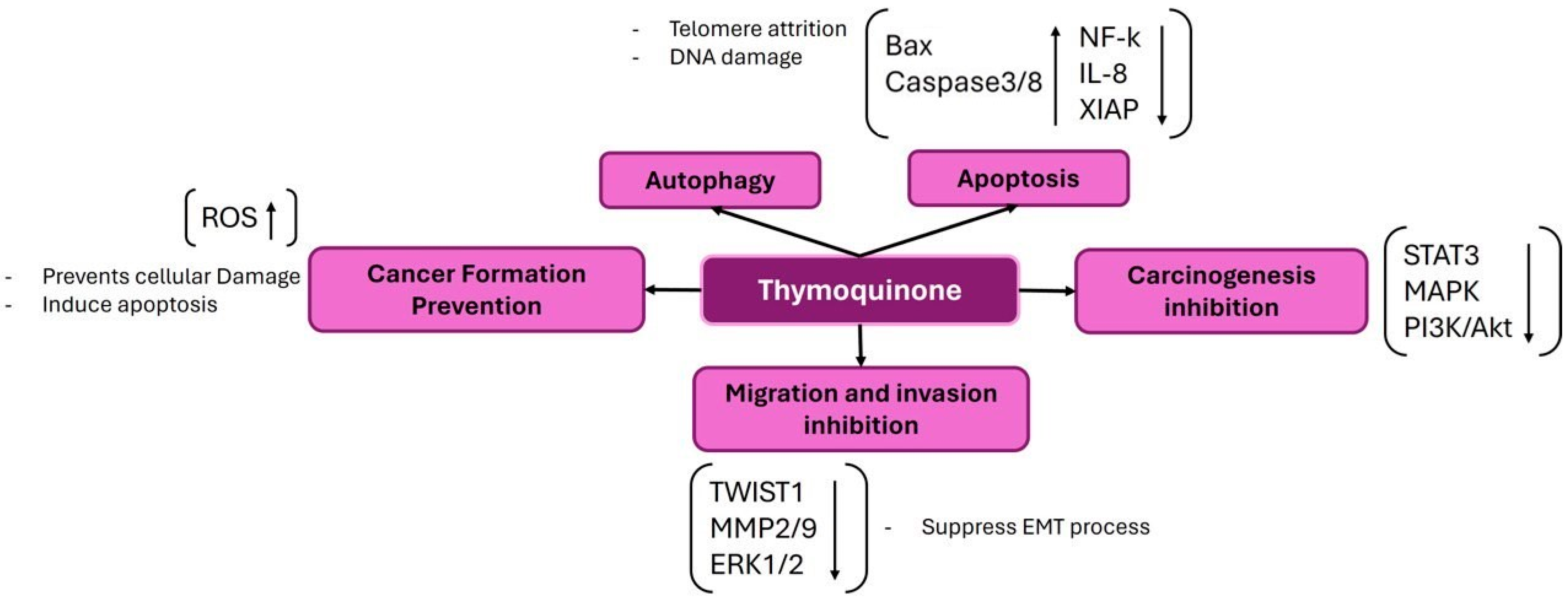 Ijms 25 09593 g004 Ijms 25 09593 g004