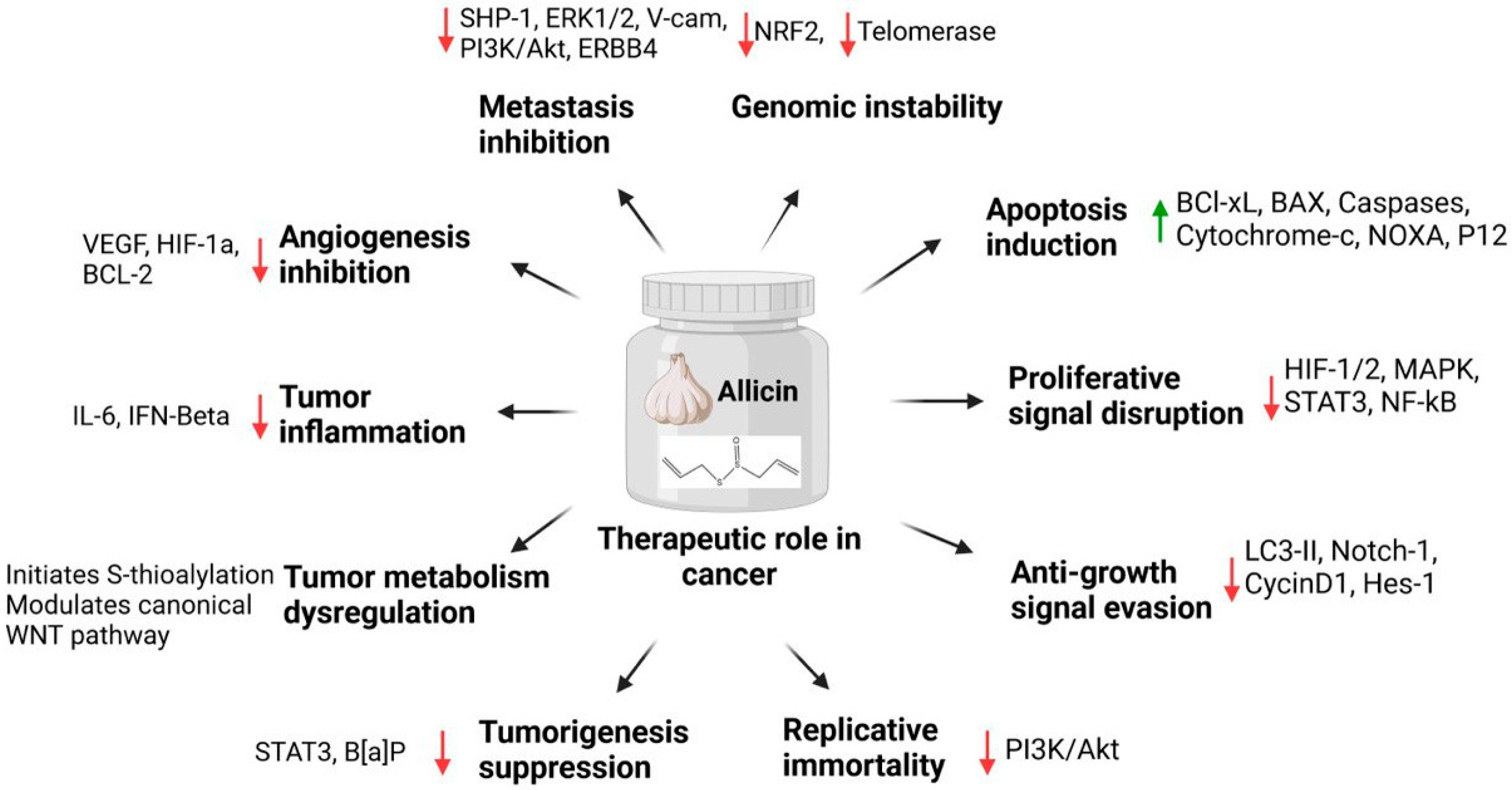 Ijms 25 09593 g005 Ijms 25 09593 g005