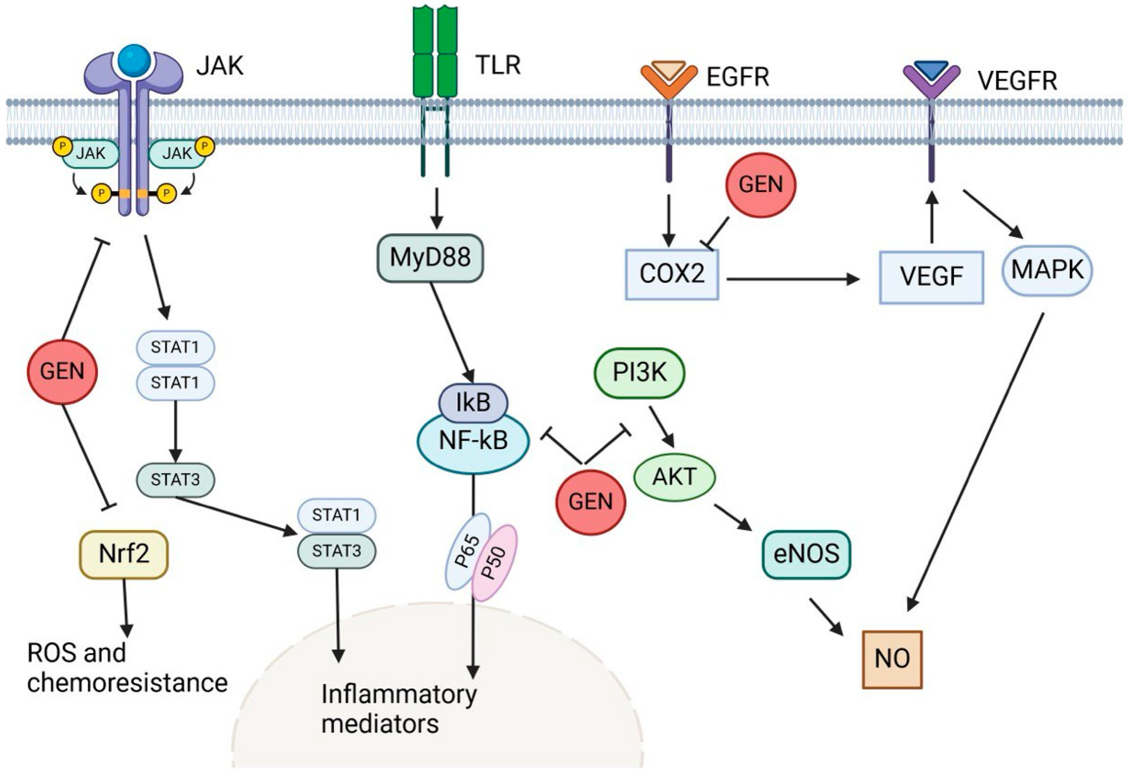 Ijms 25 09593 g006 Ijms 25 09593 g006