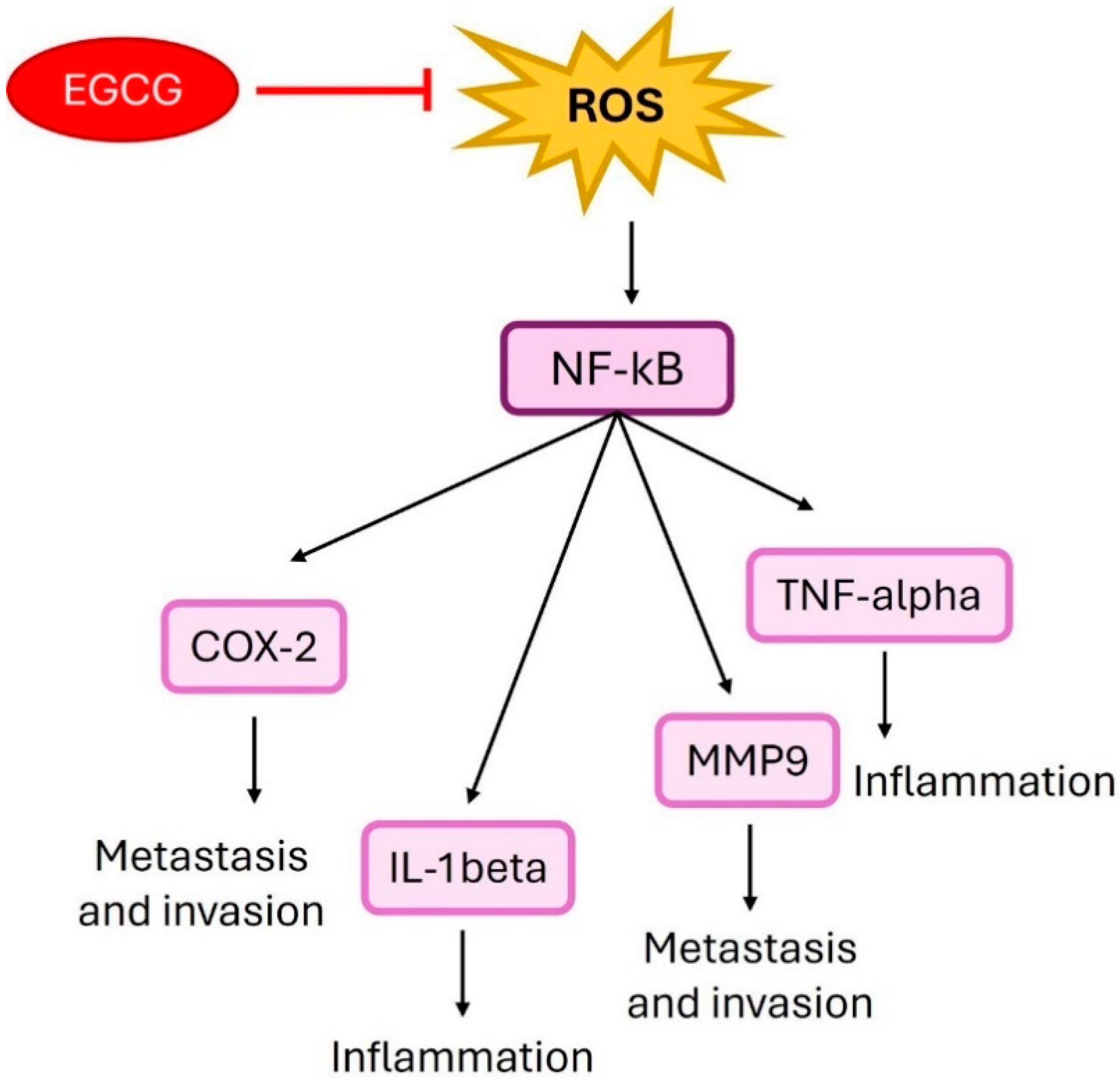 Ijms 25 09593 g007 Ijms 25 09593 g007