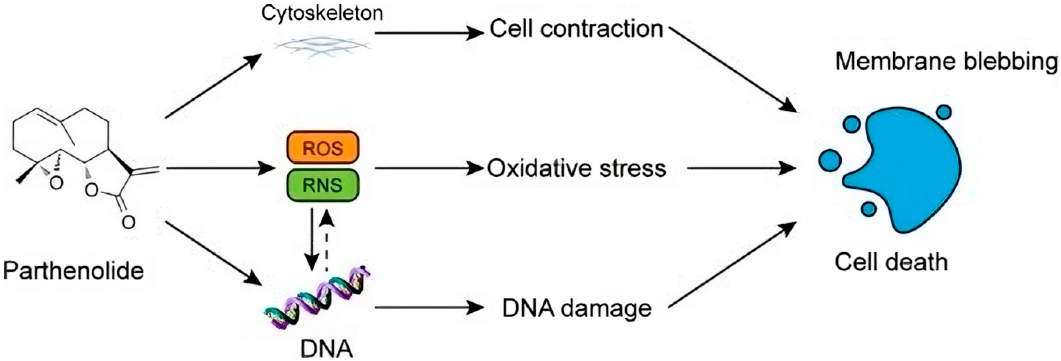 Ijms 25 09593 g010 Ijms 25 09593 g010