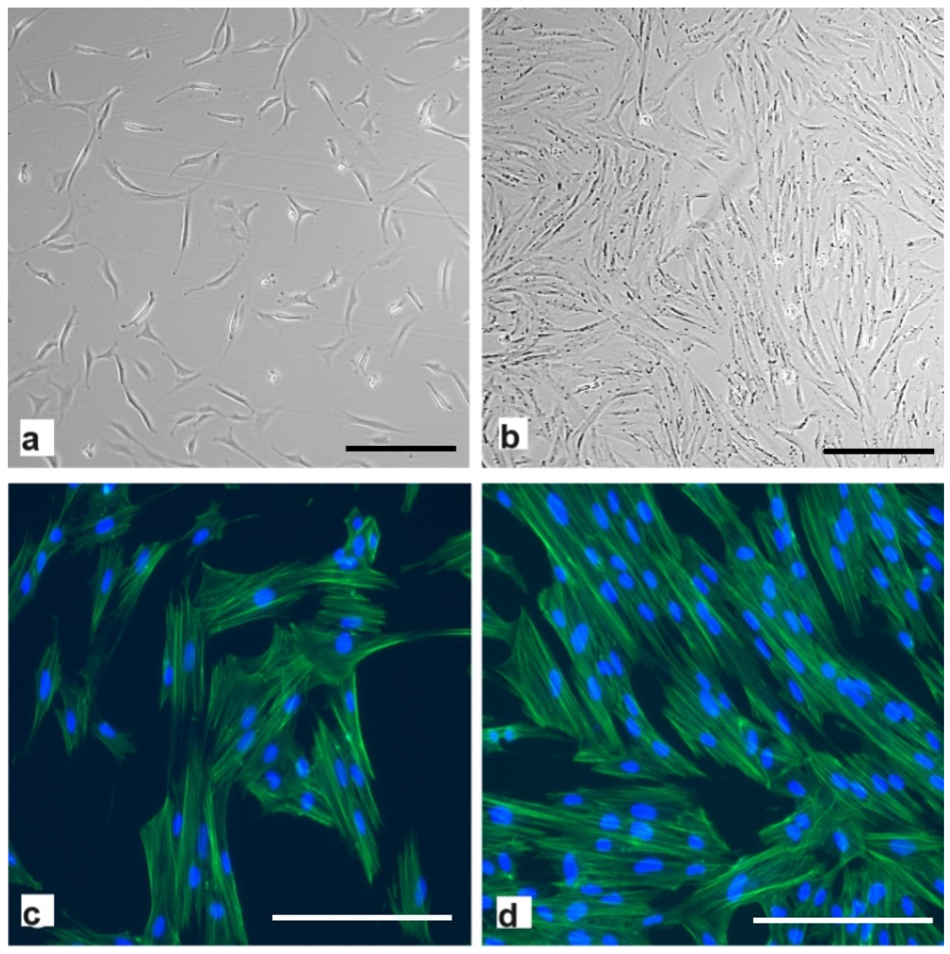 Ijms 25 09647 g002 Ijms 25 09647 g002