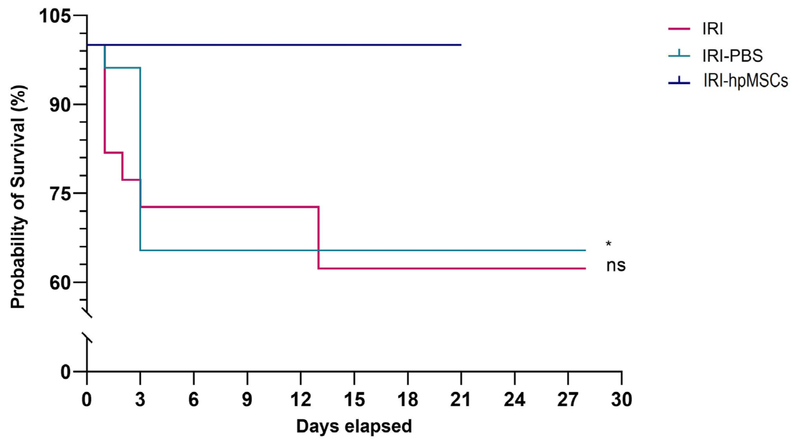Ijms 25 09647 g007 Ijms 25 09647 g007