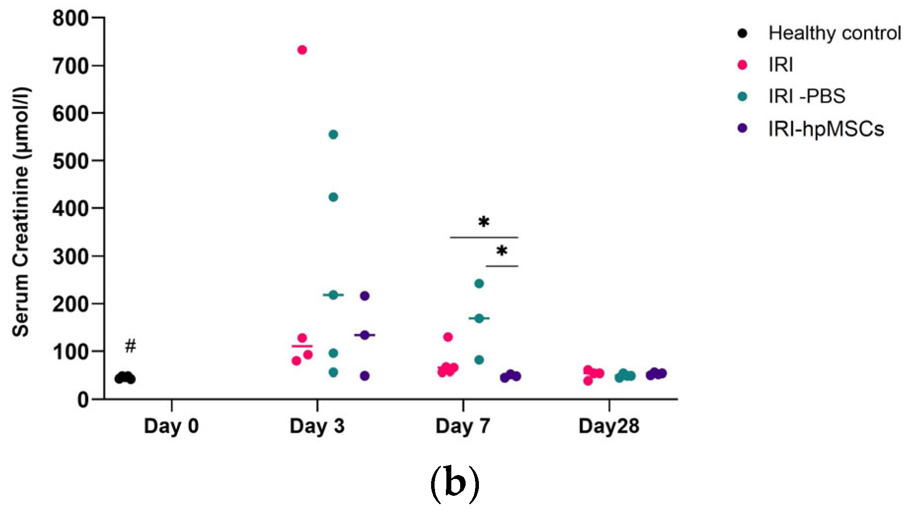 Ijms 25 09647 g008b Ijms 25 09647 g008b