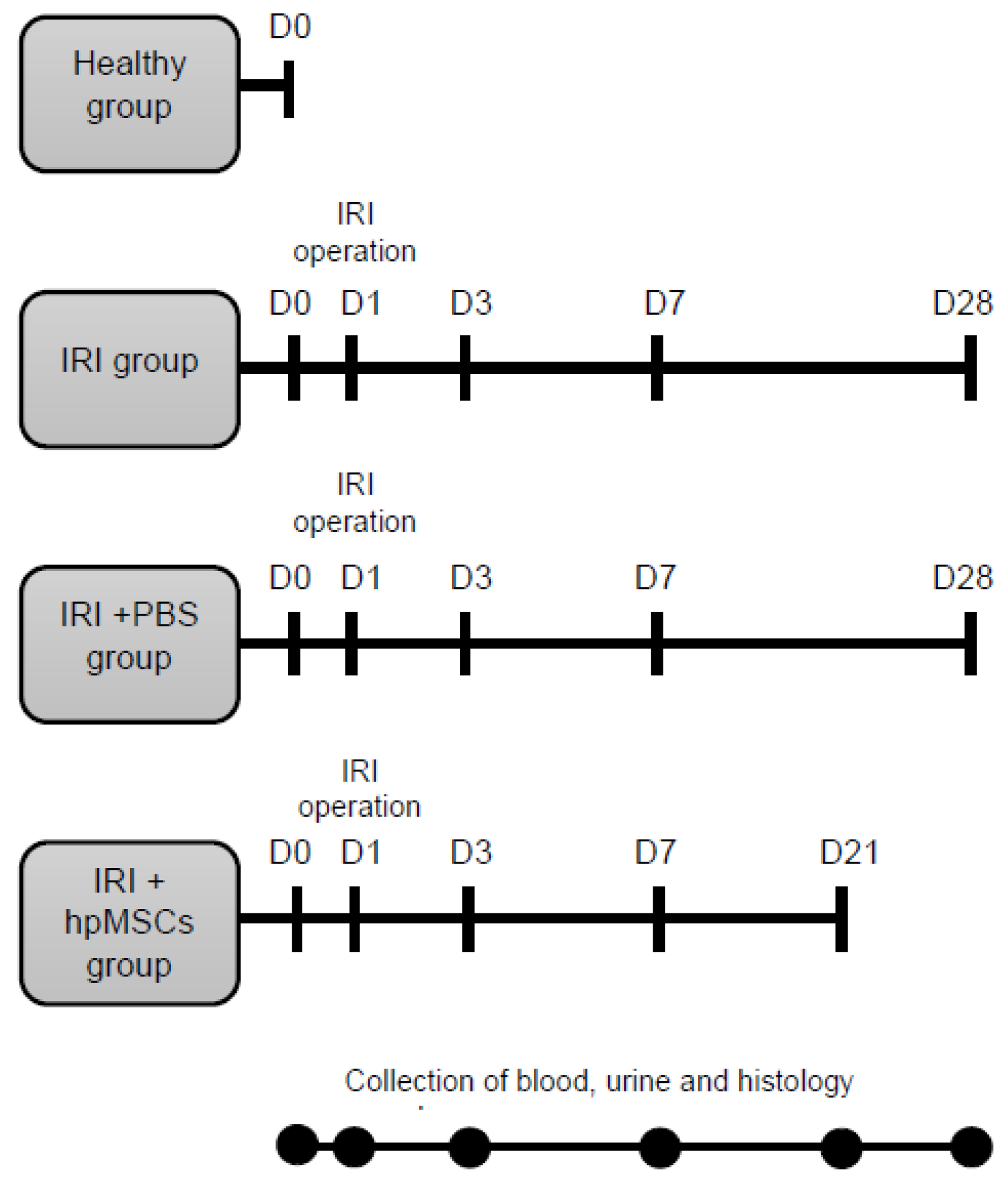 Ijms 25 09647 g010 Ijms 25 09647 g010