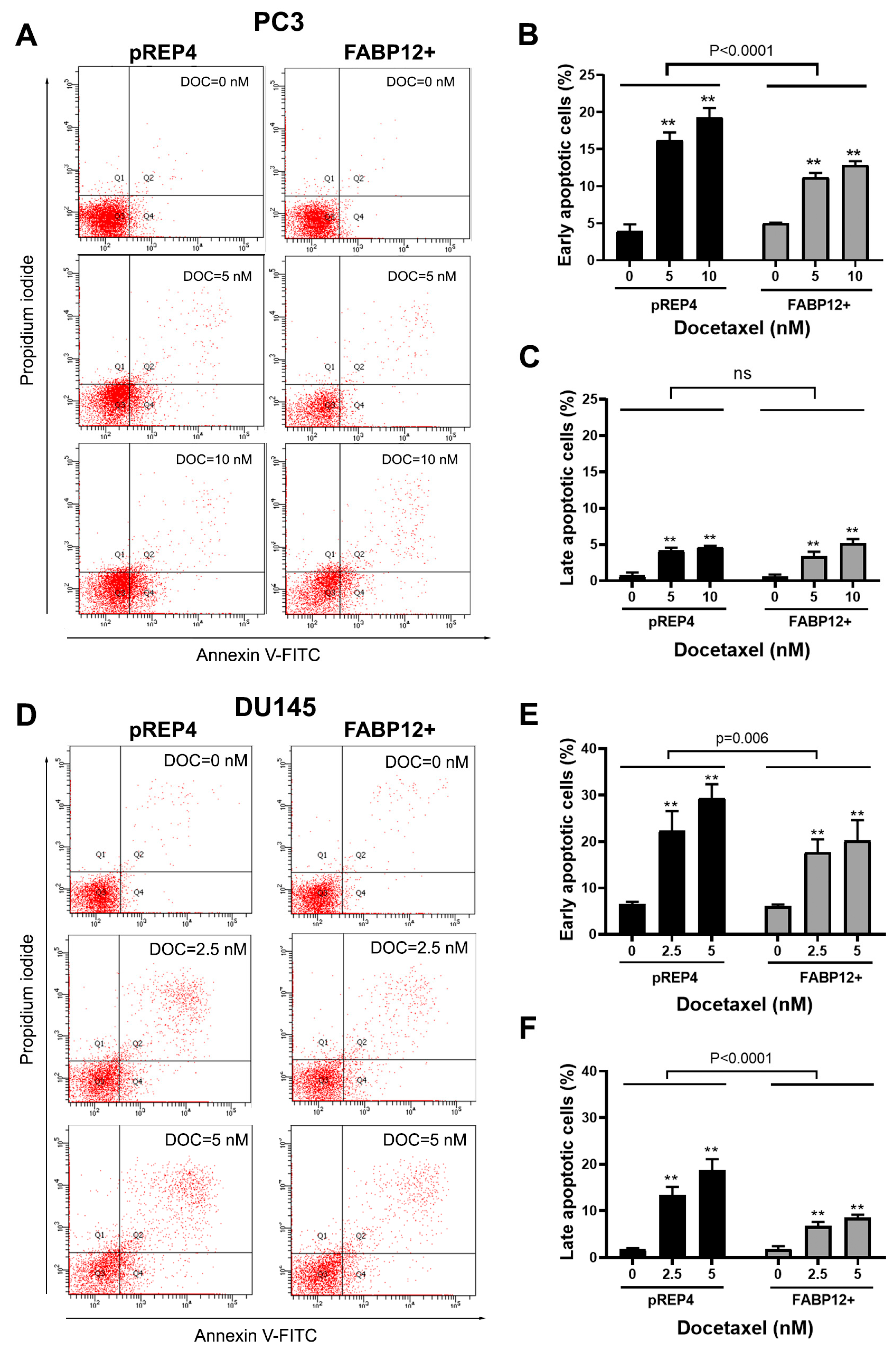Ijms 25 09669 g005 Ijms 25 09669 g005