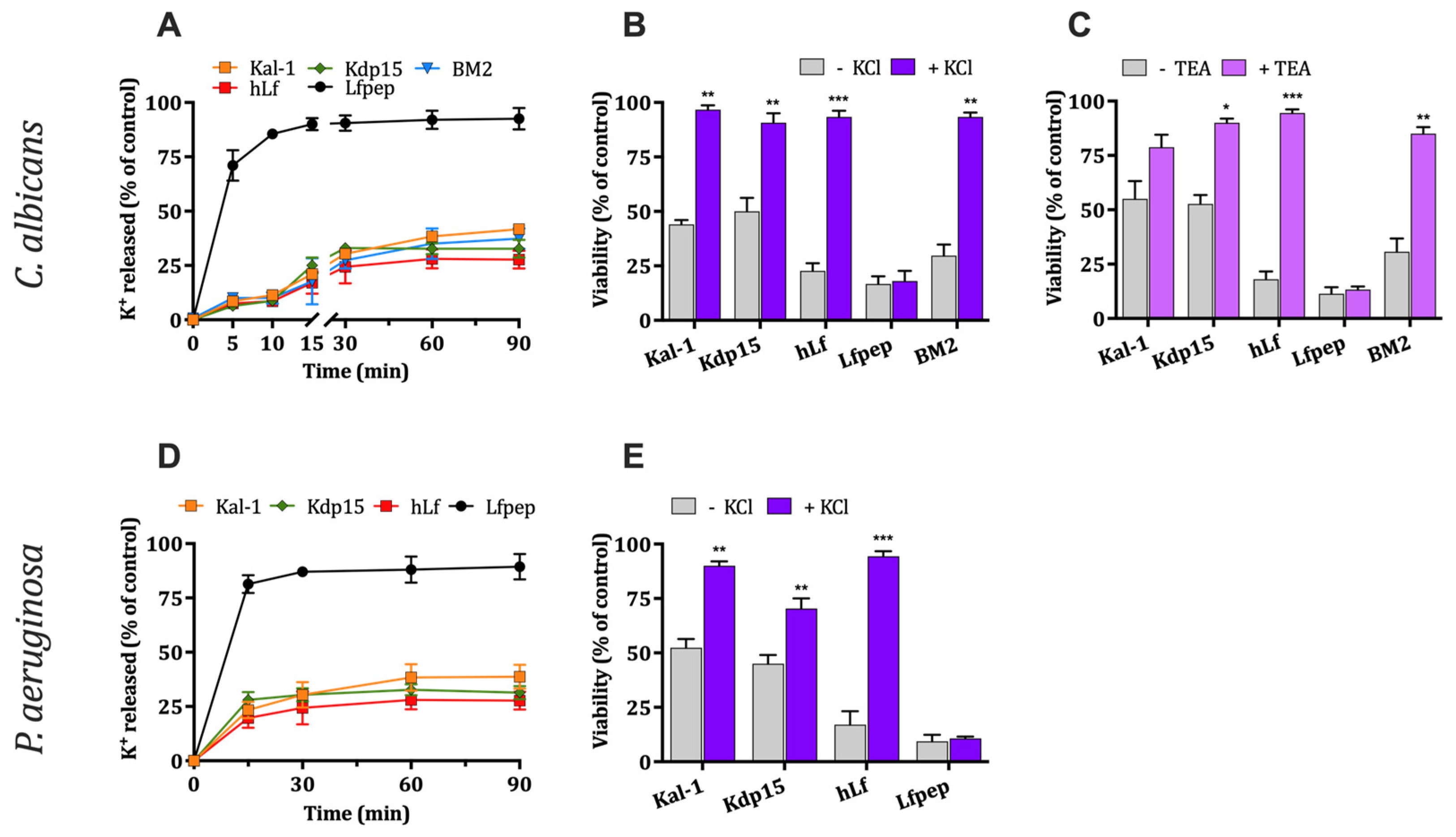 Ijms 25 09672 g002 Ijms 25 09672 g002