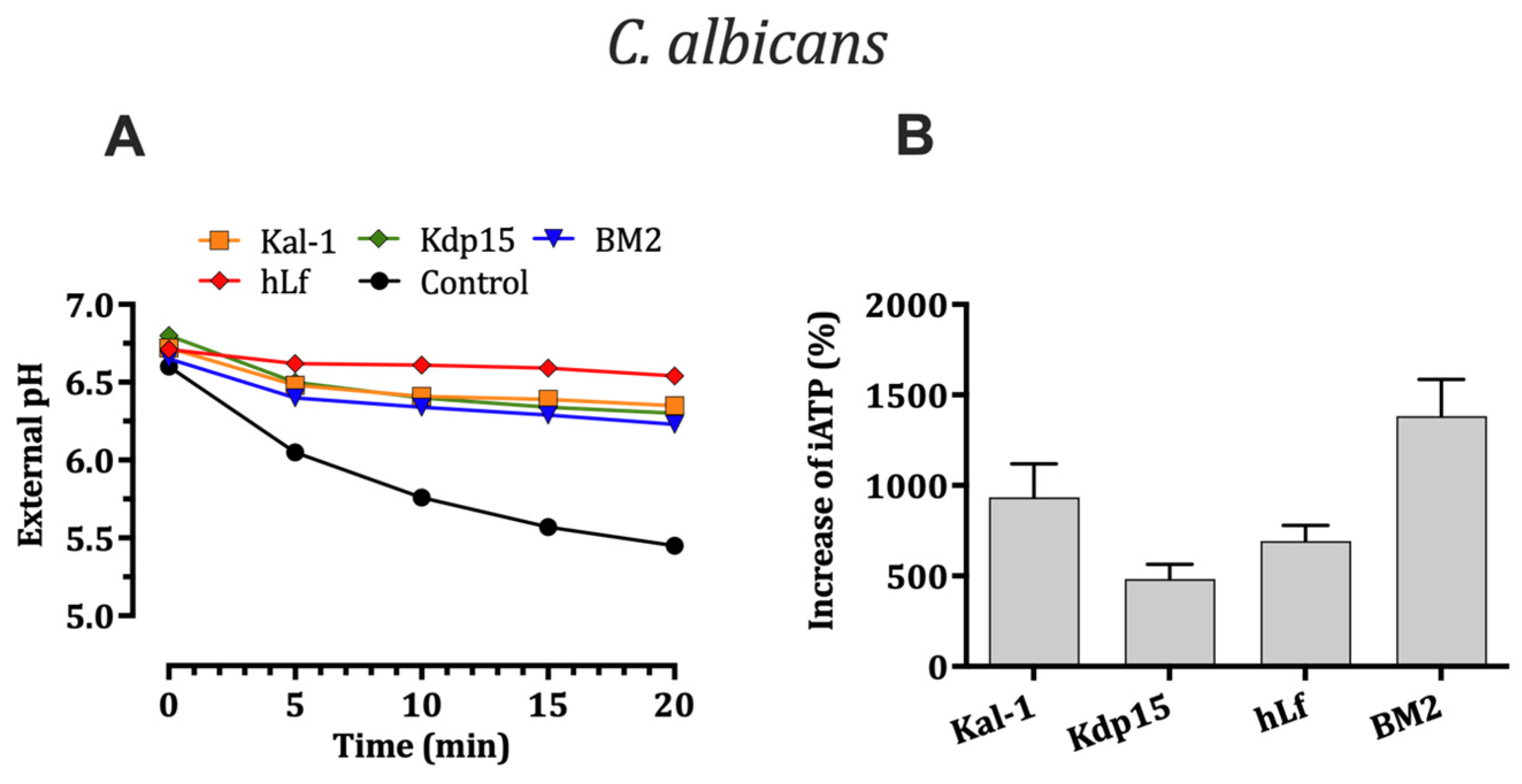 Ijms 25 09672 g005 Ijms 25 09672 g005