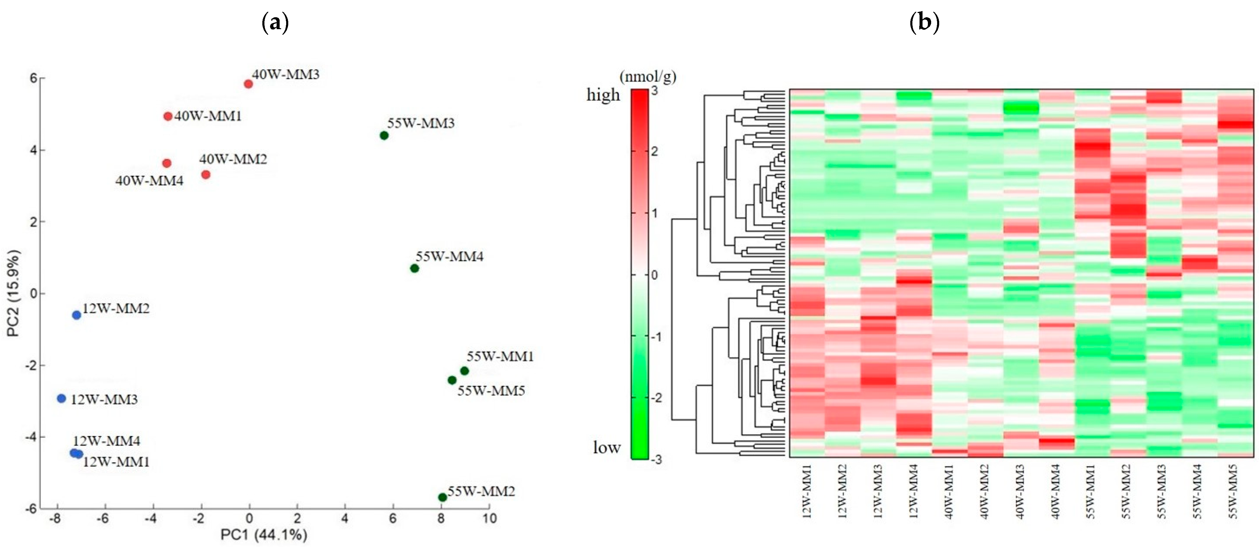 Ijms 25 09684 g002 Ijms 25 09684 g002