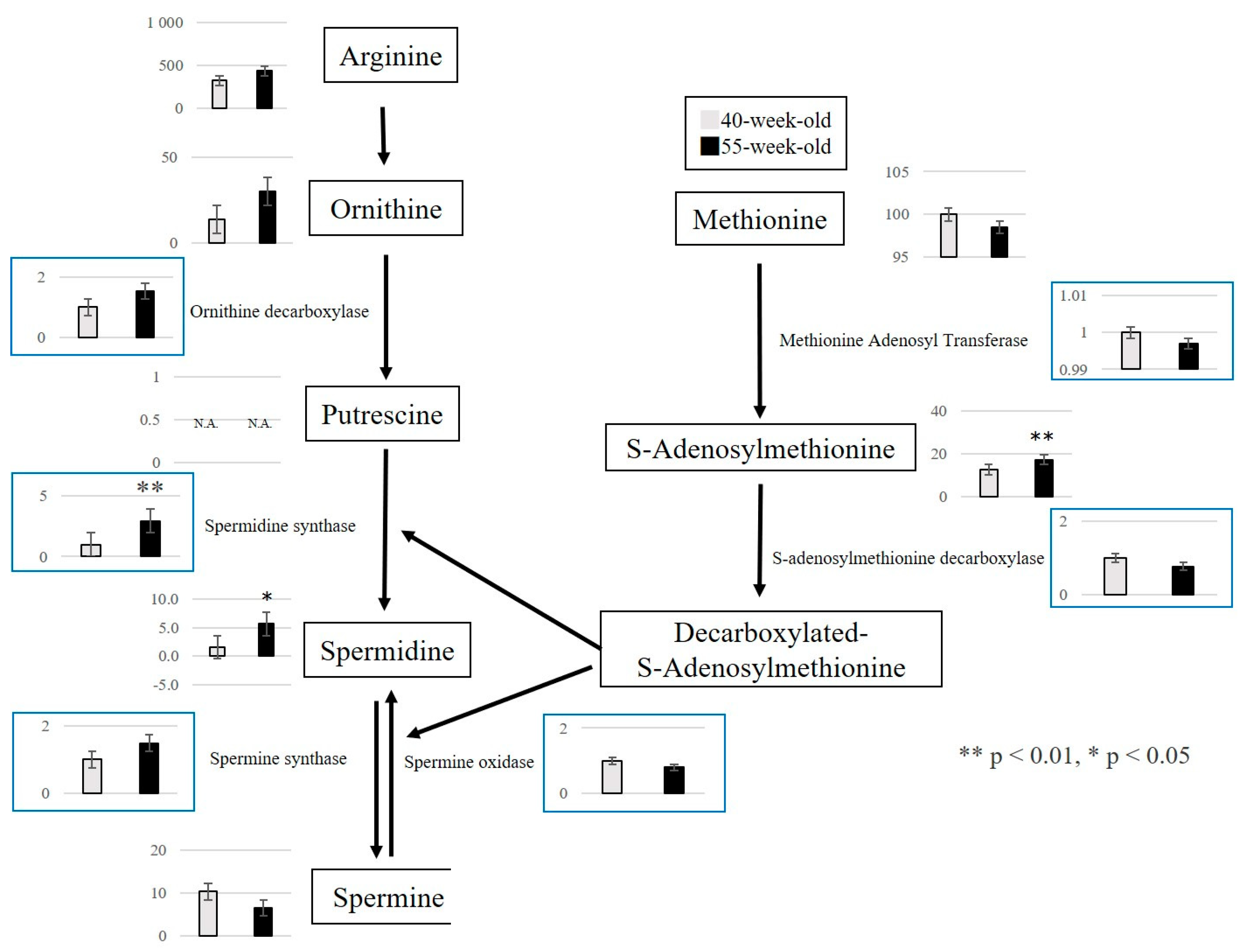 Ijms 25 09684 g004 Ijms 25 09684 g004