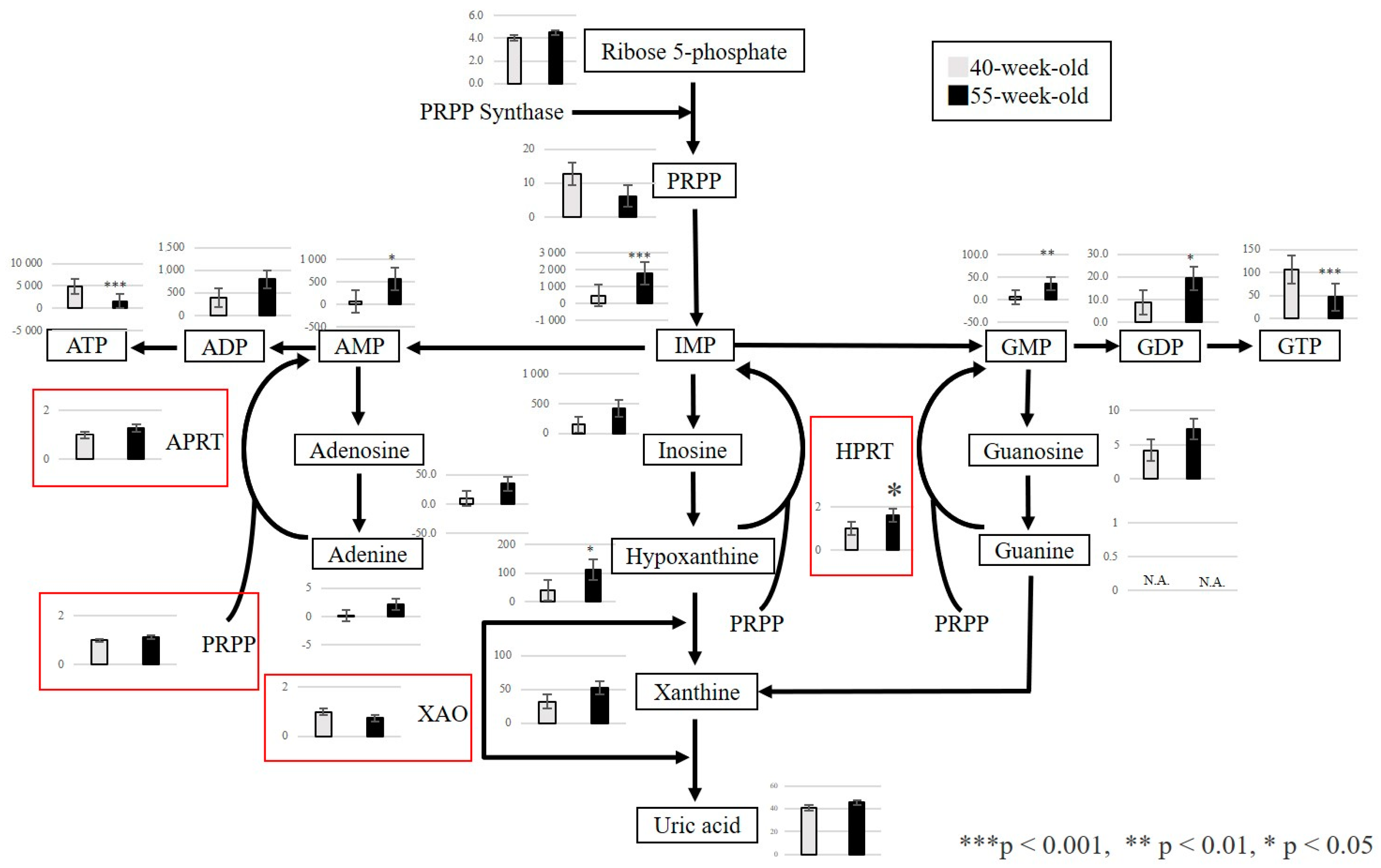 Ijms 25 09684 g005 Ijms 25 09684 g005