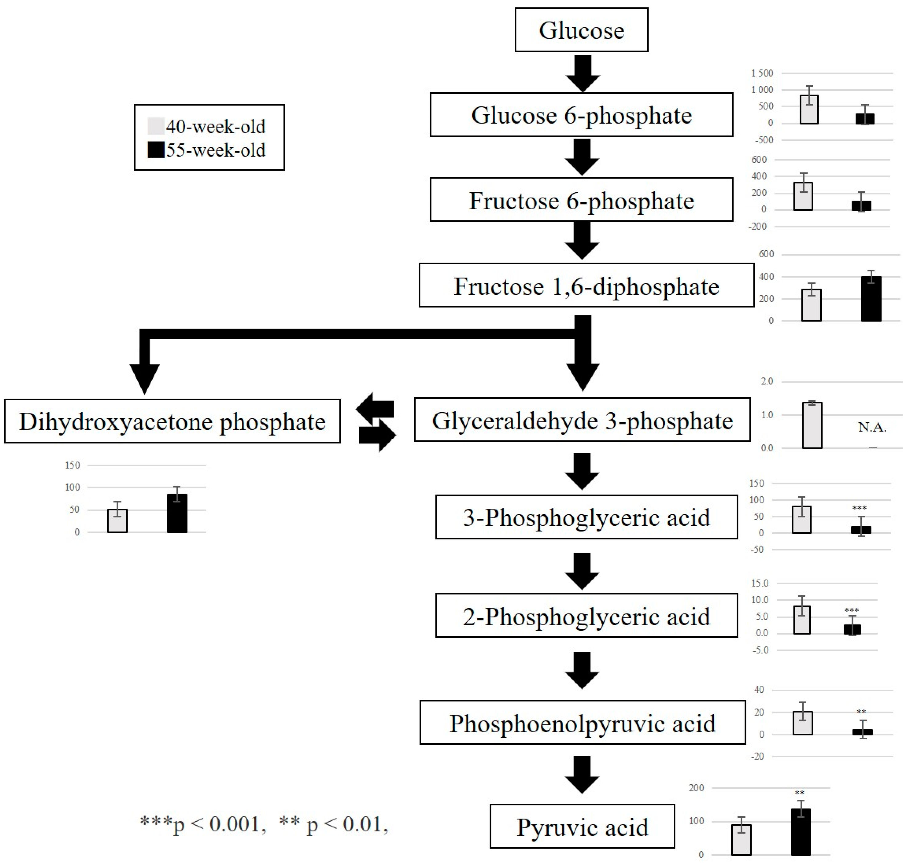 Ijms 25 09684 g006 Ijms 25 09684 g006